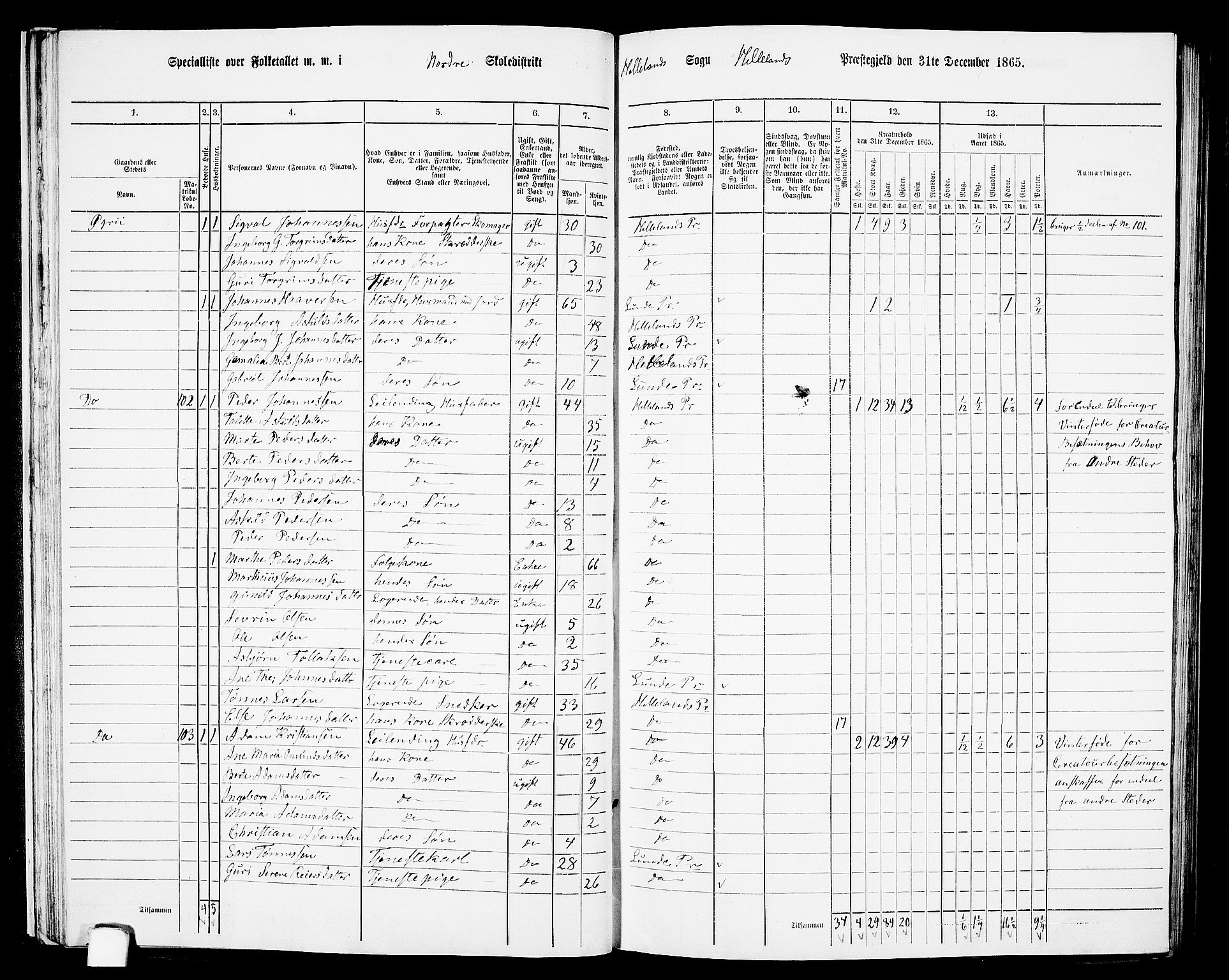 RA, 1865 census for Helleland, 1865, p. 33