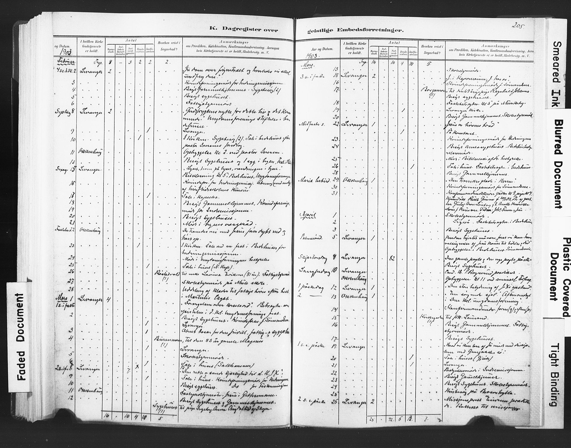 Ministerialprotokoller, klokkerbøker og fødselsregistre - Nord-Trøndelag, AV/SAT-A-1458/720/L0189: Parish register (official) no. 720A05, 1880-1911, p. 205