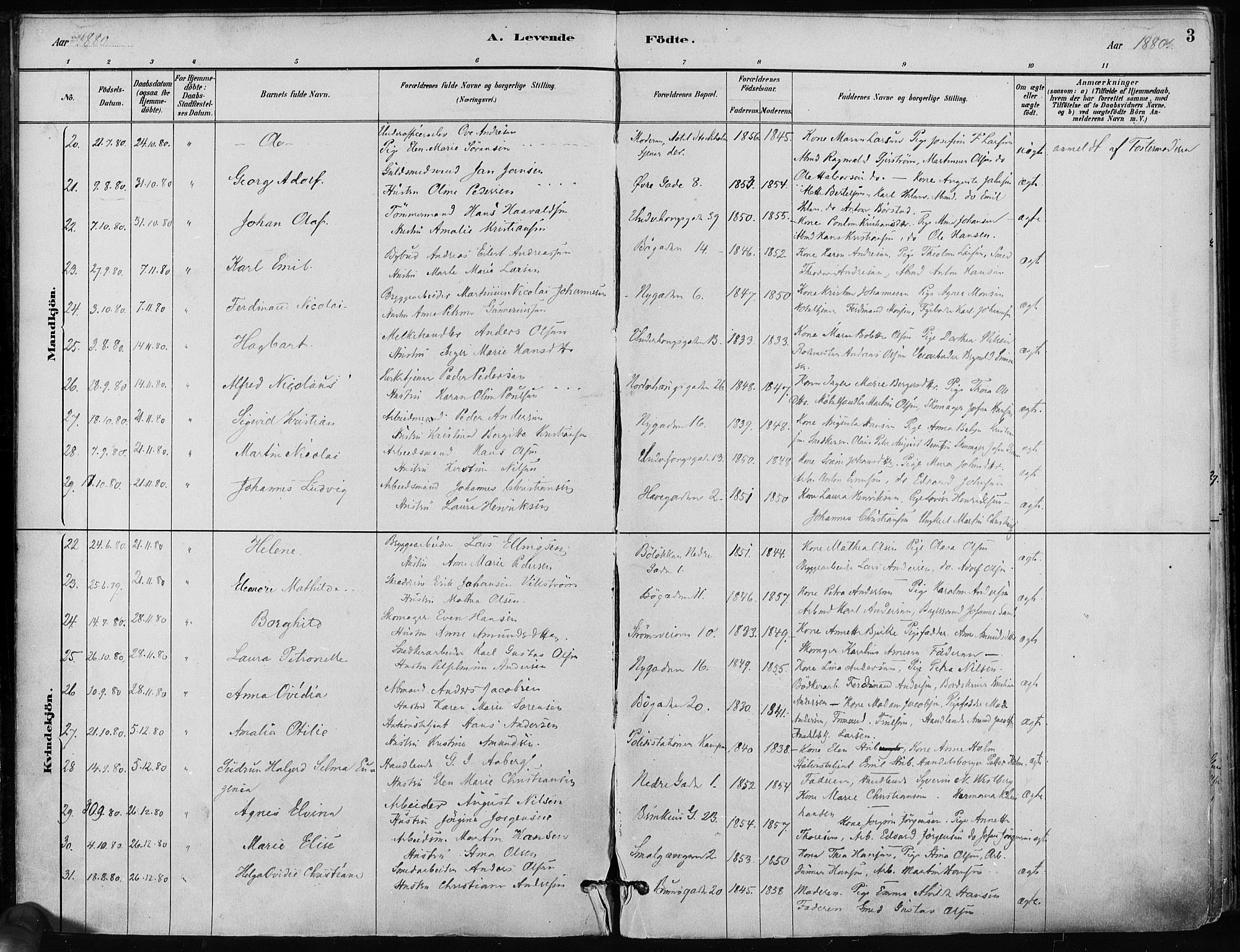 Kampen prestekontor Kirkebøker, SAO/A-10853/F/Fa/L0001: Parish register (official) no. I 1, 1880-1886, p. 3