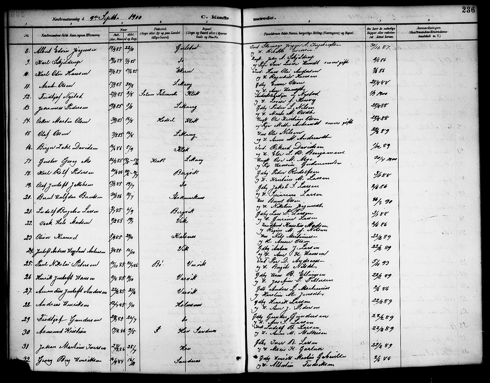 Ministerialprotokoller, klokkerbøker og fødselsregistre - Nordland, AV/SAT-A-1459/888/L1268: Parish register (copy) no. 888C06, 1891-1908, p. 236