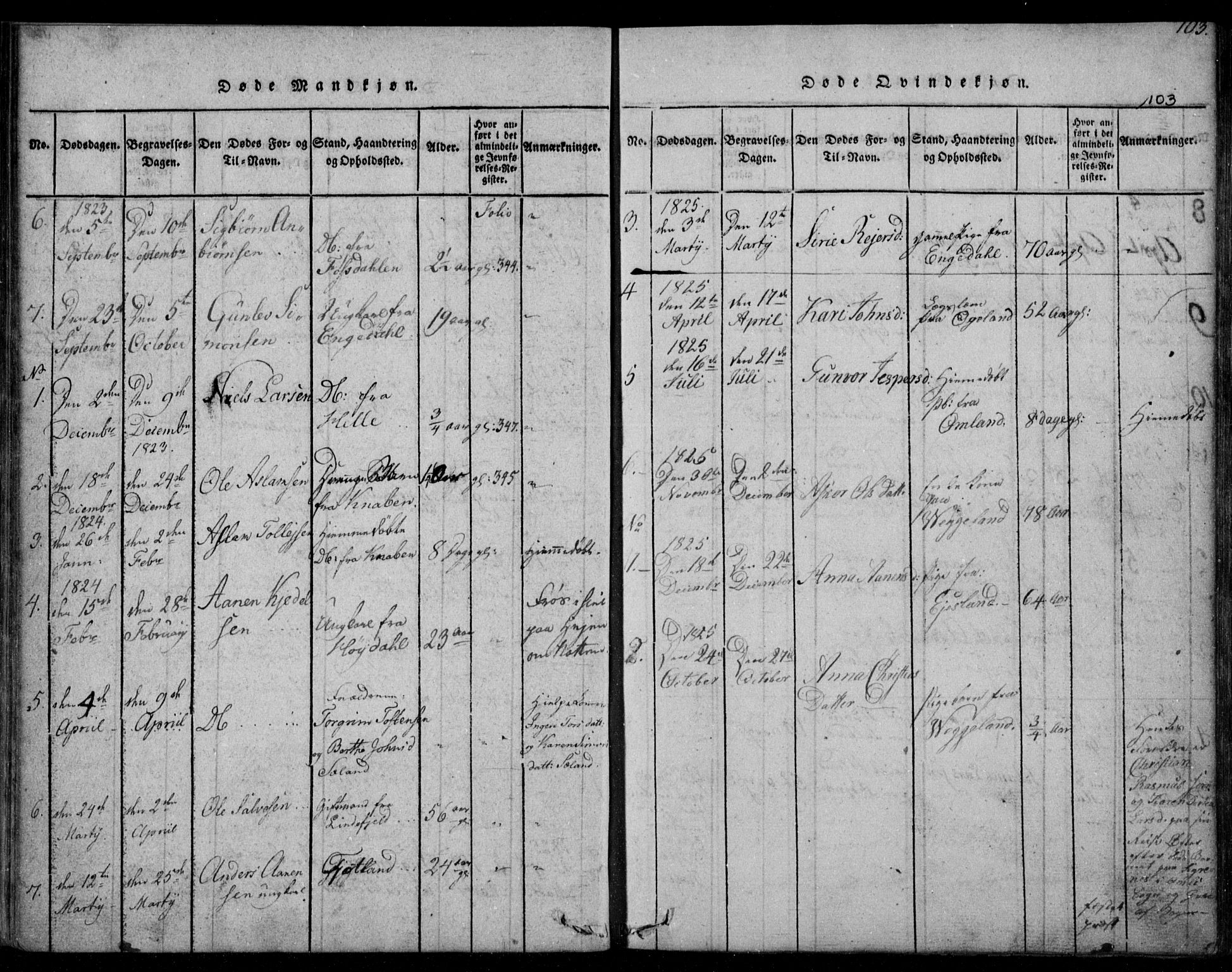 Fjotland sokneprestkontor, AV/SAK-1111-0010/F/Fb/L0001: Parish register (copy) no. B 1, 1816-1849, p. 103