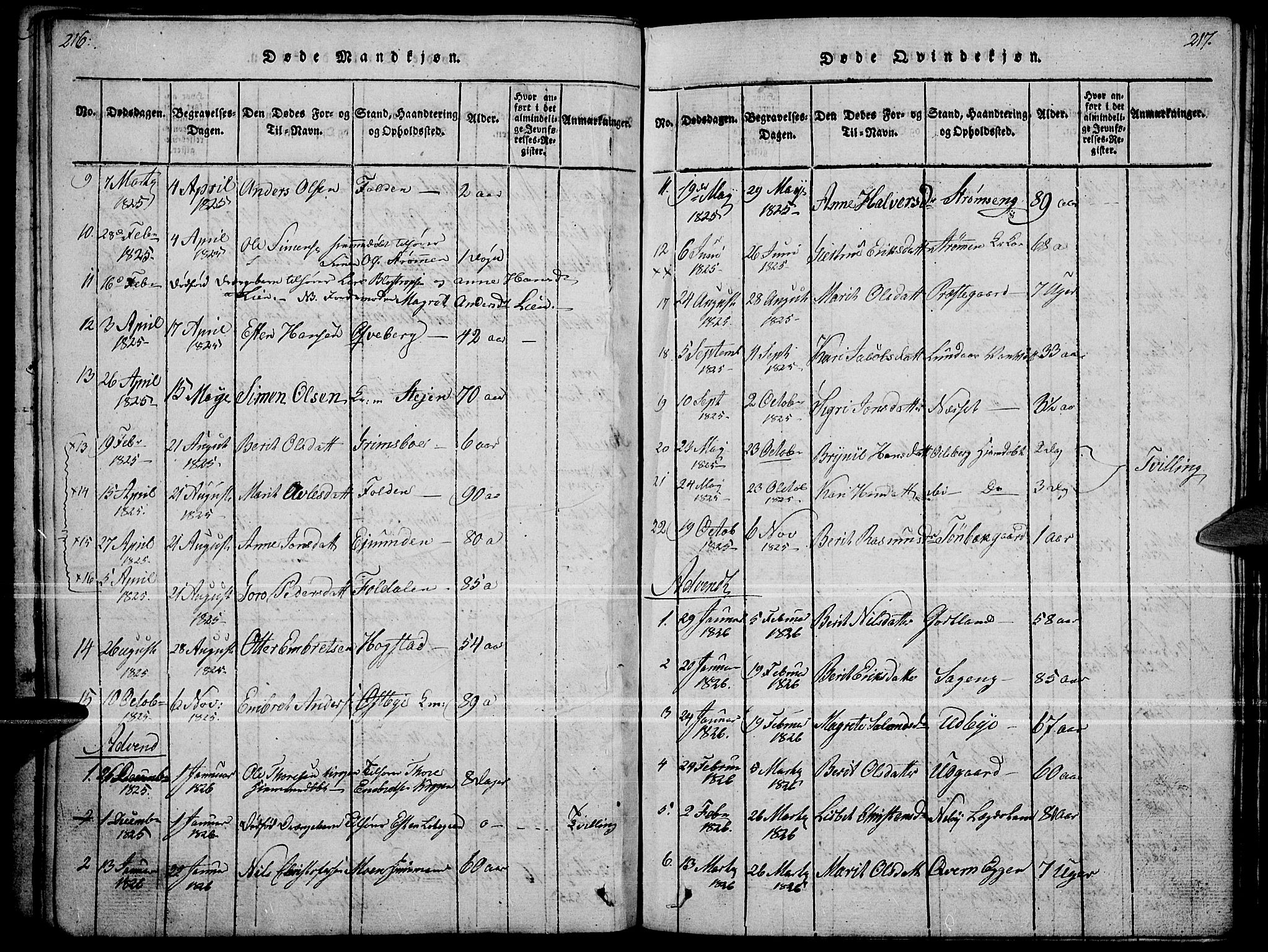 Tynset prestekontor, SAH/PREST-058/H/Ha/Haa/L0018: Parish register (official) no. 18, 1815-1829, p. 216-217
