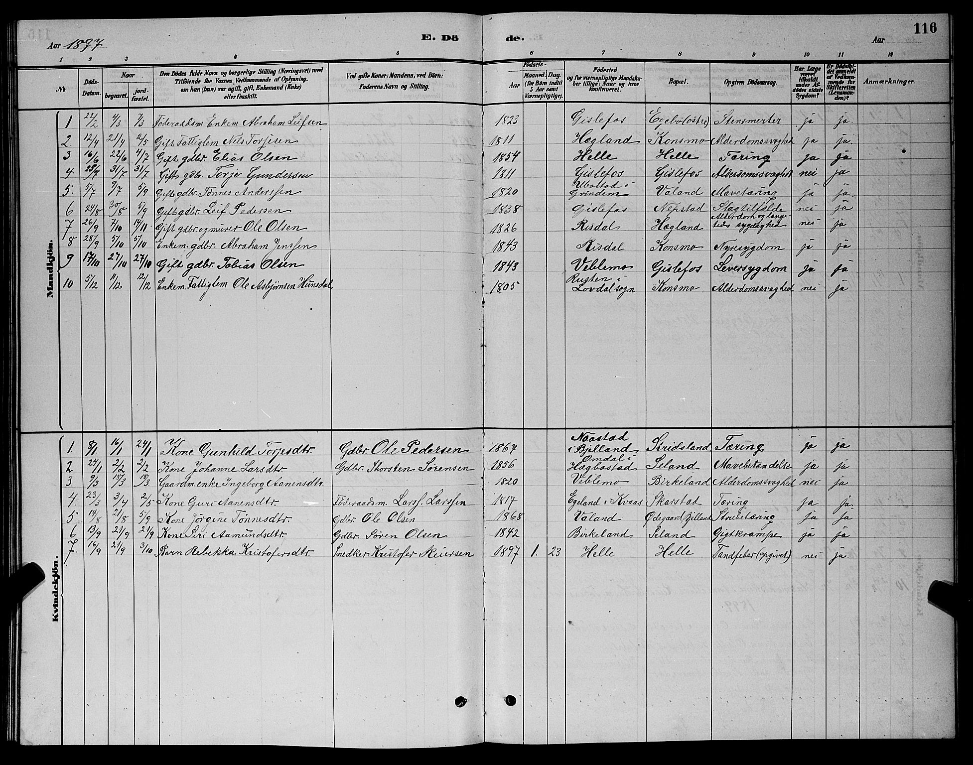 Nord-Audnedal sokneprestkontor, AV/SAK-1111-0032/F/Fb/Fba/L0003: Parish register (copy) no. B 3, 1881-1900, p. 116