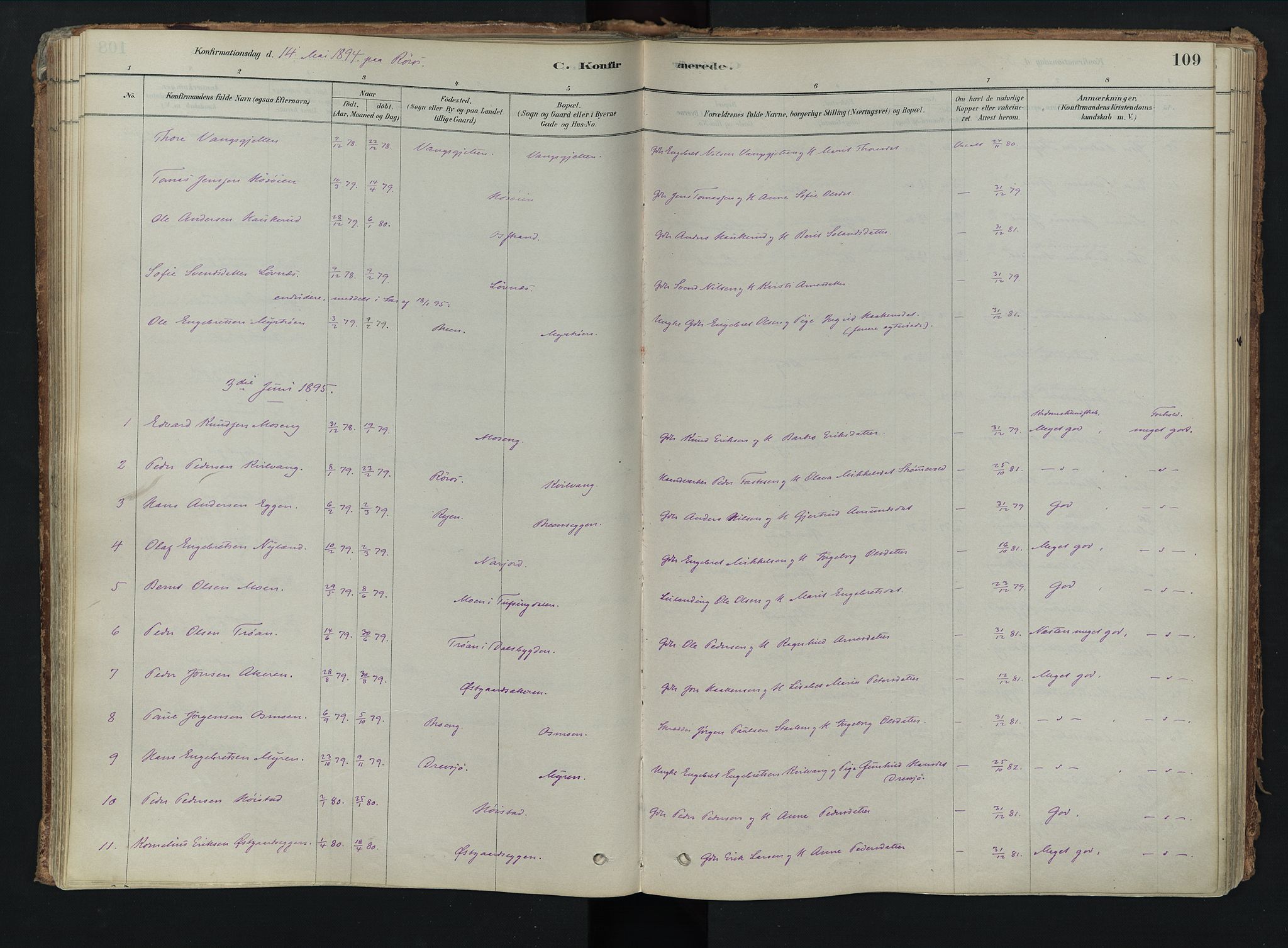 Tolga prestekontor, SAH/PREST-062/K/L0008: Parish register (official) no. 8, 1877-1910, p. 109