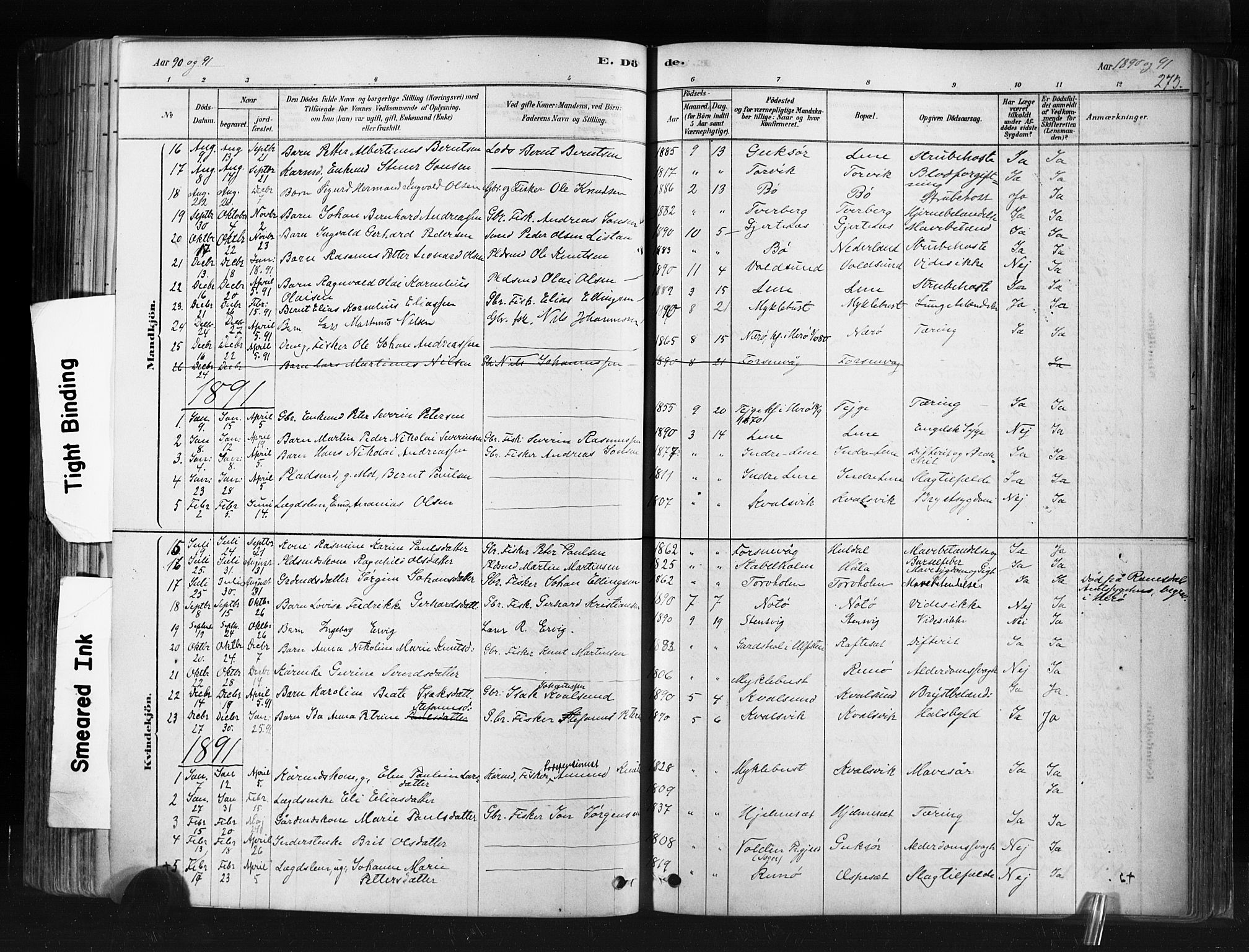 Ministerialprotokoller, klokkerbøker og fødselsregistre - Møre og Romsdal, AV/SAT-A-1454/507/L0073: Parish register (official) no. 507A08, 1878-1904, p. 273