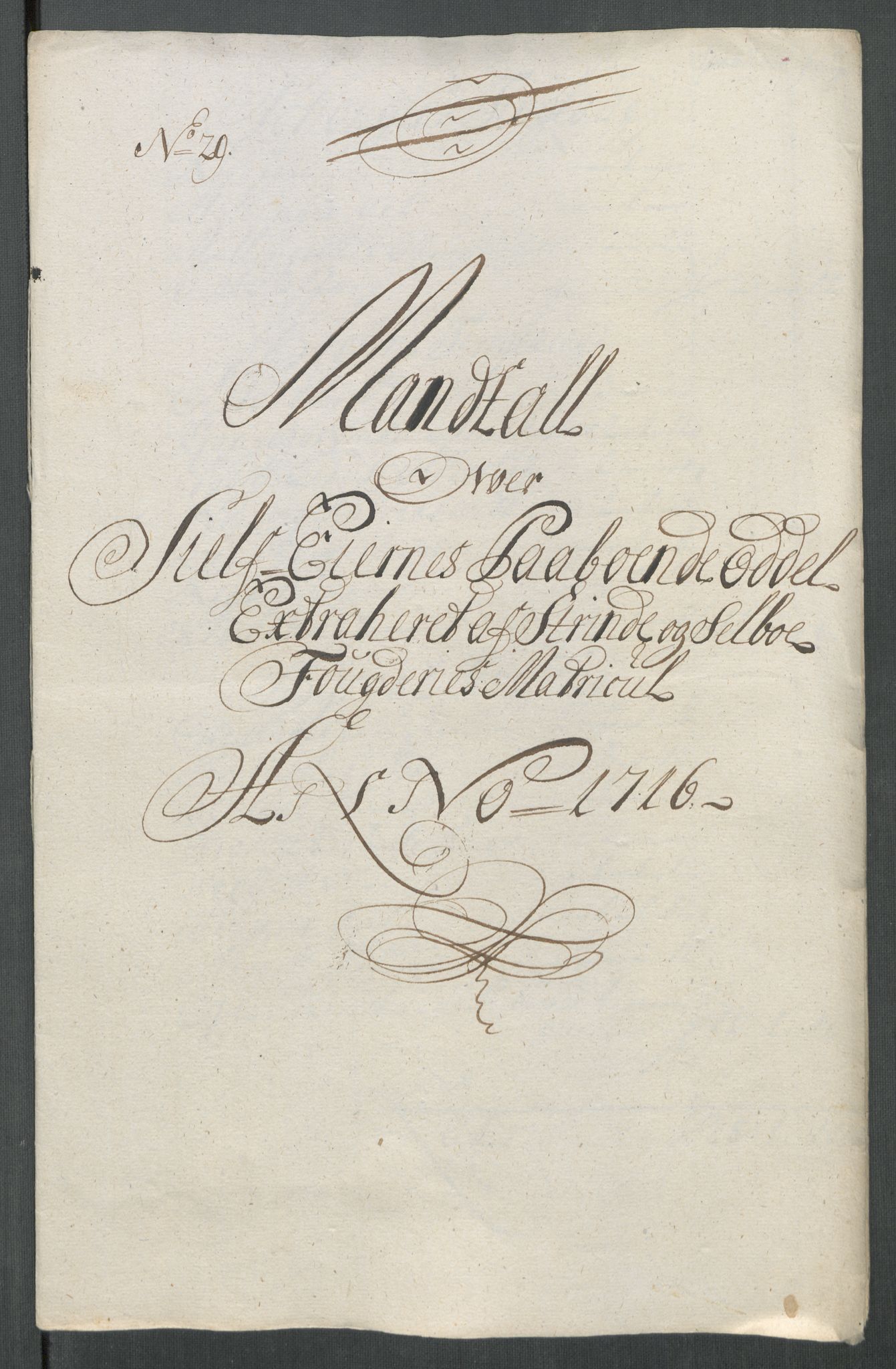 Rentekammeret inntil 1814, Reviderte regnskaper, Fogderegnskap, AV/RA-EA-4092/R61/L4115: Fogderegnskap Strinda og Selbu, 1715-1716, p. 453