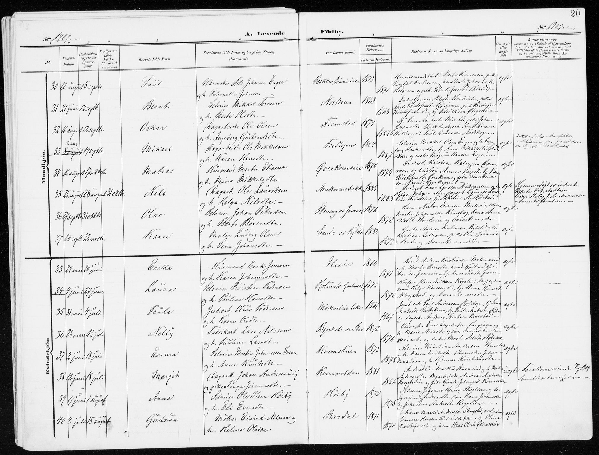 Furnes prestekontor, AV/SAH-PREST-012/K/Ka/L0001: Parish register (official) no. 1, 1907-1935, p. 20