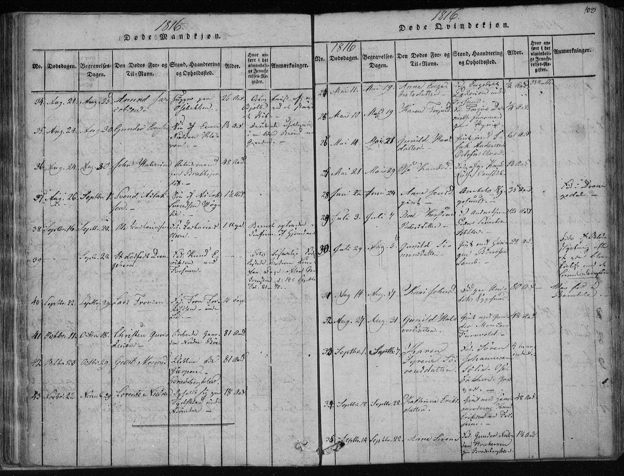 Gjerpen kirkebøker, SAKO/A-265/F/Fa/L0004: Parish register (official) no. I 4, 1814-1823, p. 103