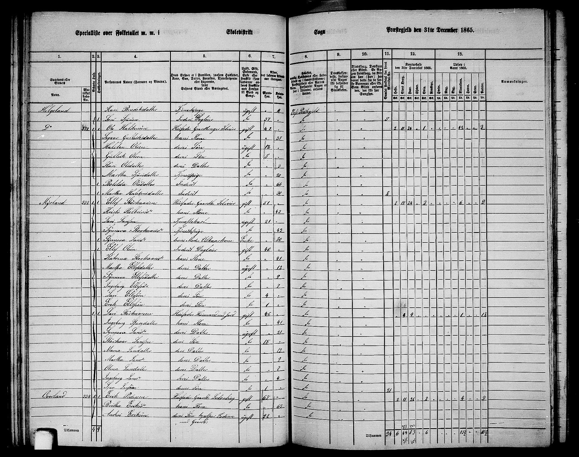 RA, 1865 census for Voss, 1865, p. 292