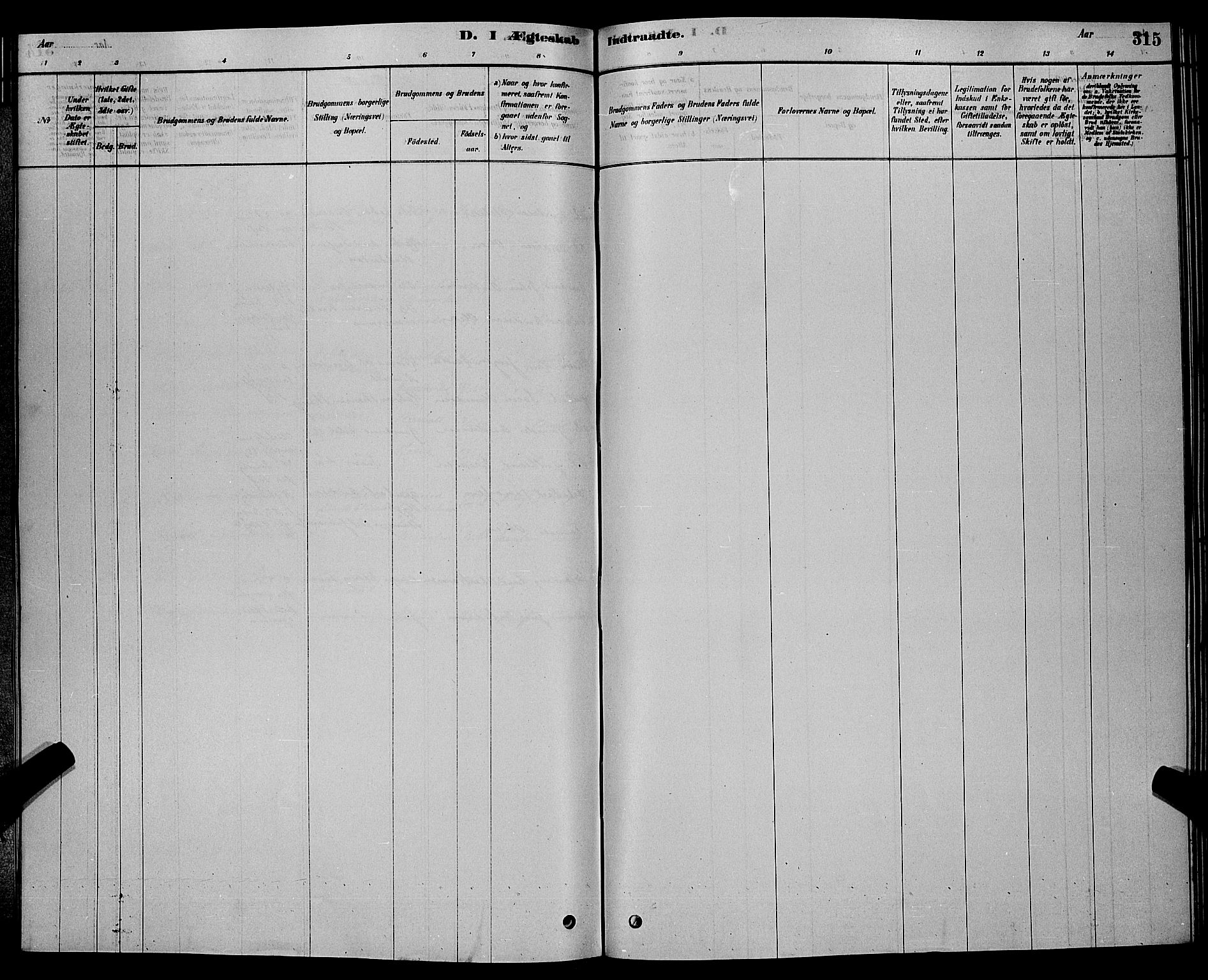 Bamble kirkebøker, AV/SAKO-A-253/G/Ga/L0008: Parish register (copy) no. I 8, 1878-1888, p. 315