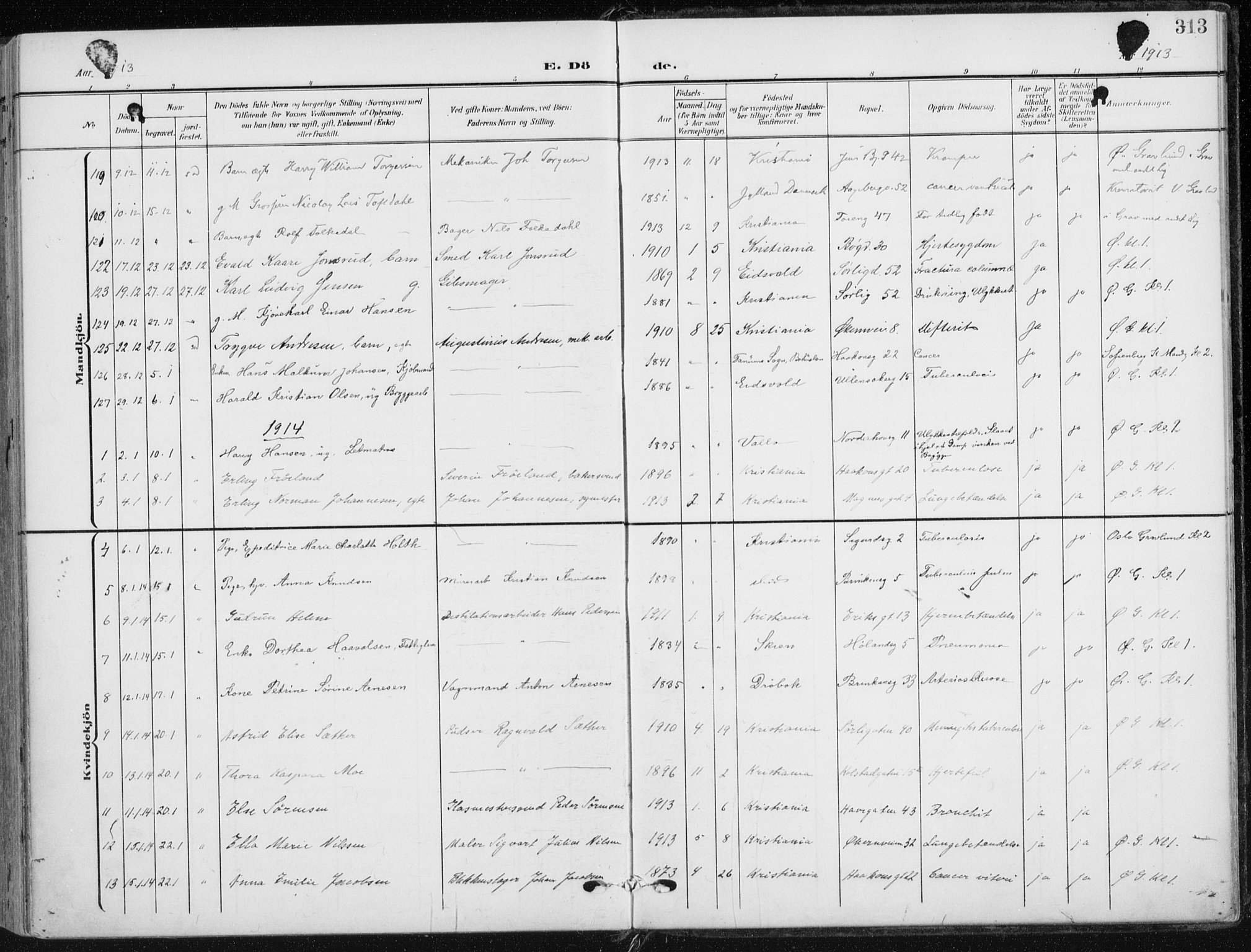 Kampen prestekontor Kirkebøker, AV/SAO-A-10853/F/Fa/L0011: Parish register (official) no. I 11, 1907-1917, p. 313