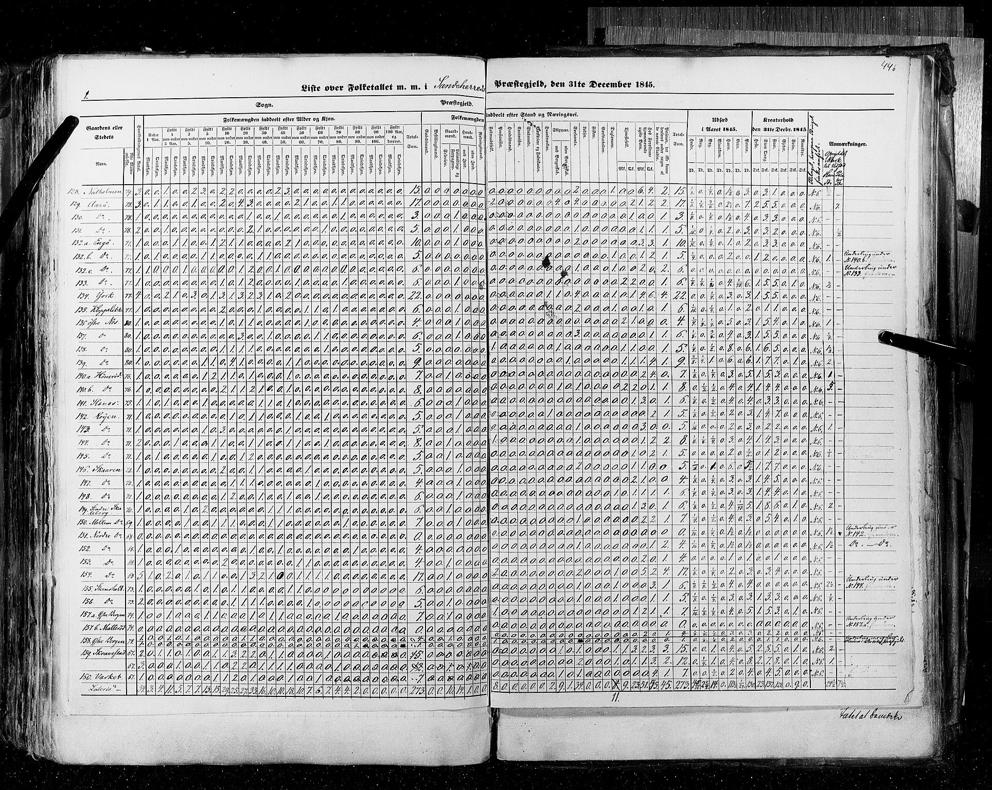 RA, Census 1845, vol. 4: Buskerud amt og Jarlsberg og Larvik amt, 1845, p. 446