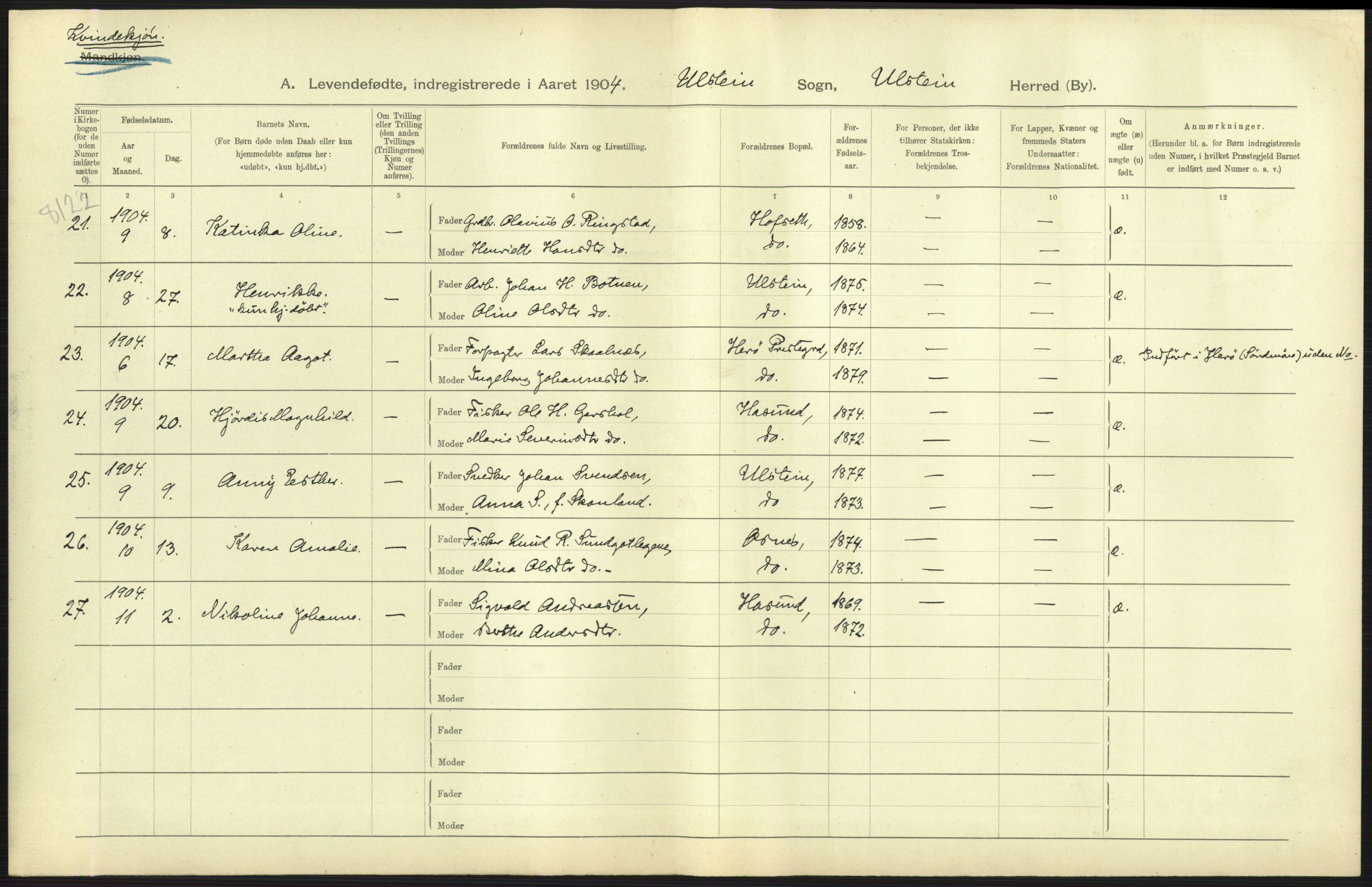 Statistisk sentralbyrå, Sosiodemografiske emner, Befolkning, AV/RA-S-2228/D/Df/Dfa/Dfab/L0016: Romsdals amt: Fødte, gifte, døde., 1904, p. 55