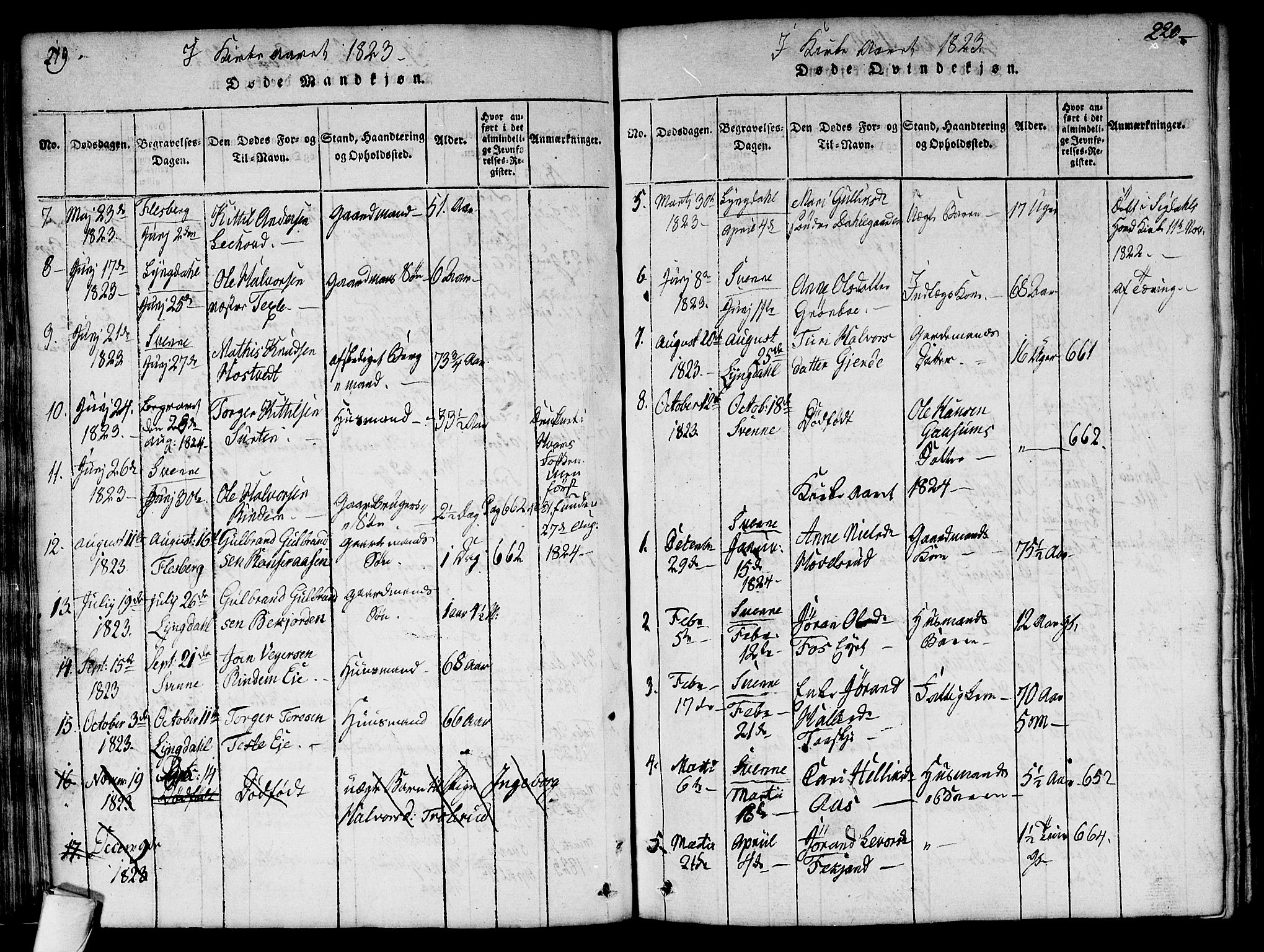 Flesberg kirkebøker, SAKO/A-18/G/Ga/L0001: Parish register (copy) no. I 1, 1816-1834, p. 219-220