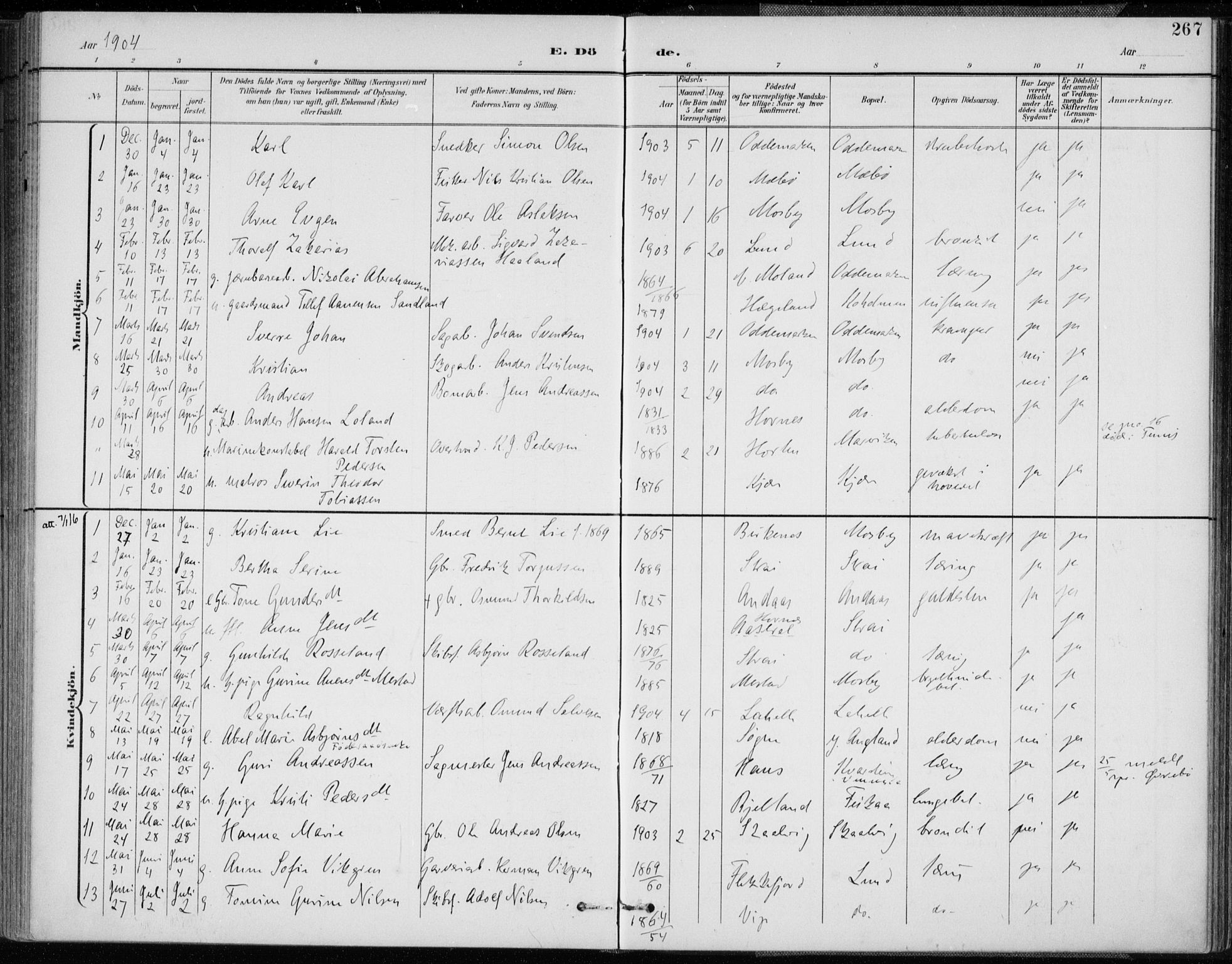 Oddernes sokneprestkontor, SAK/1111-0033/F/Fa/Faa/L0010: Parish register (official) no. A 10, 1897-1911, p. 267
