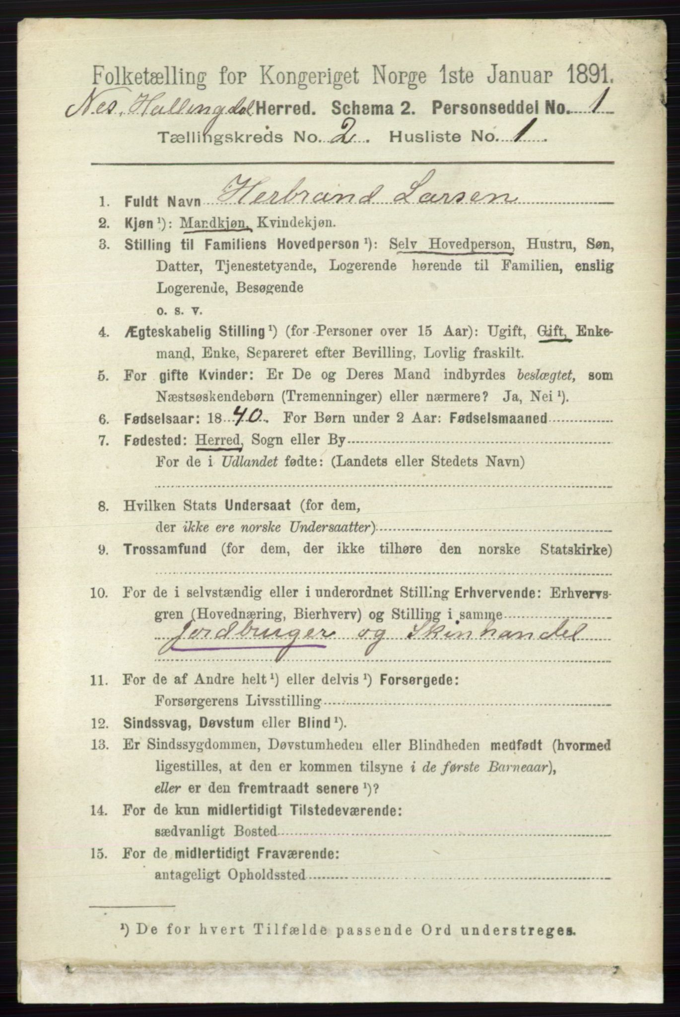 RA, 1891 census for 0616 Nes, 1891, p. 991