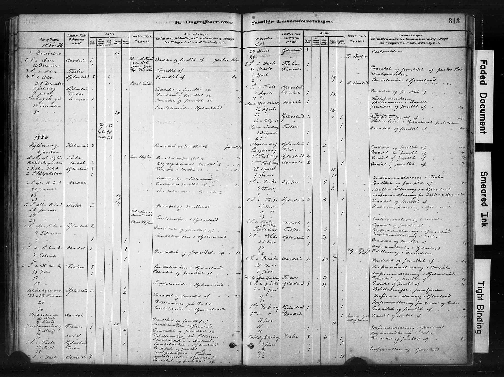 Hjelmeland sokneprestkontor, AV/SAST-A-101843/01/IV/L0014: Parish register (official) no. A 14, 1879-1900, p. 313