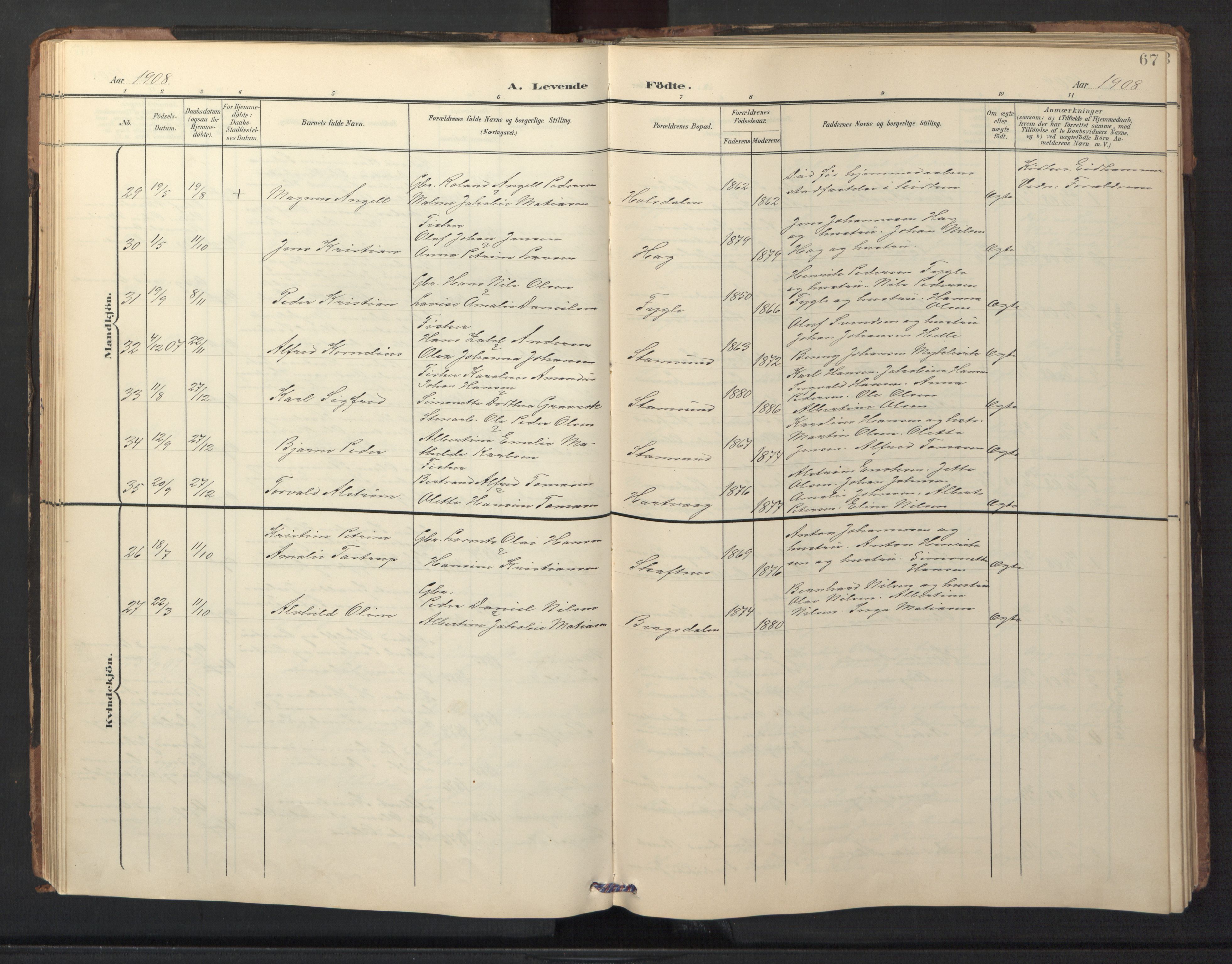 Ministerialprotokoller, klokkerbøker og fødselsregistre - Nordland, AV/SAT-A-1459/882/L1185: Parish register (copy) no. 882C03, 1898-1910, p. 67