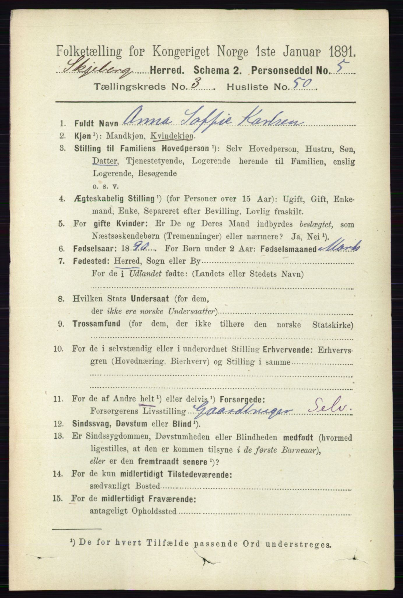 RA, 1891 census for 0115 Skjeberg, 1891, p. 1790