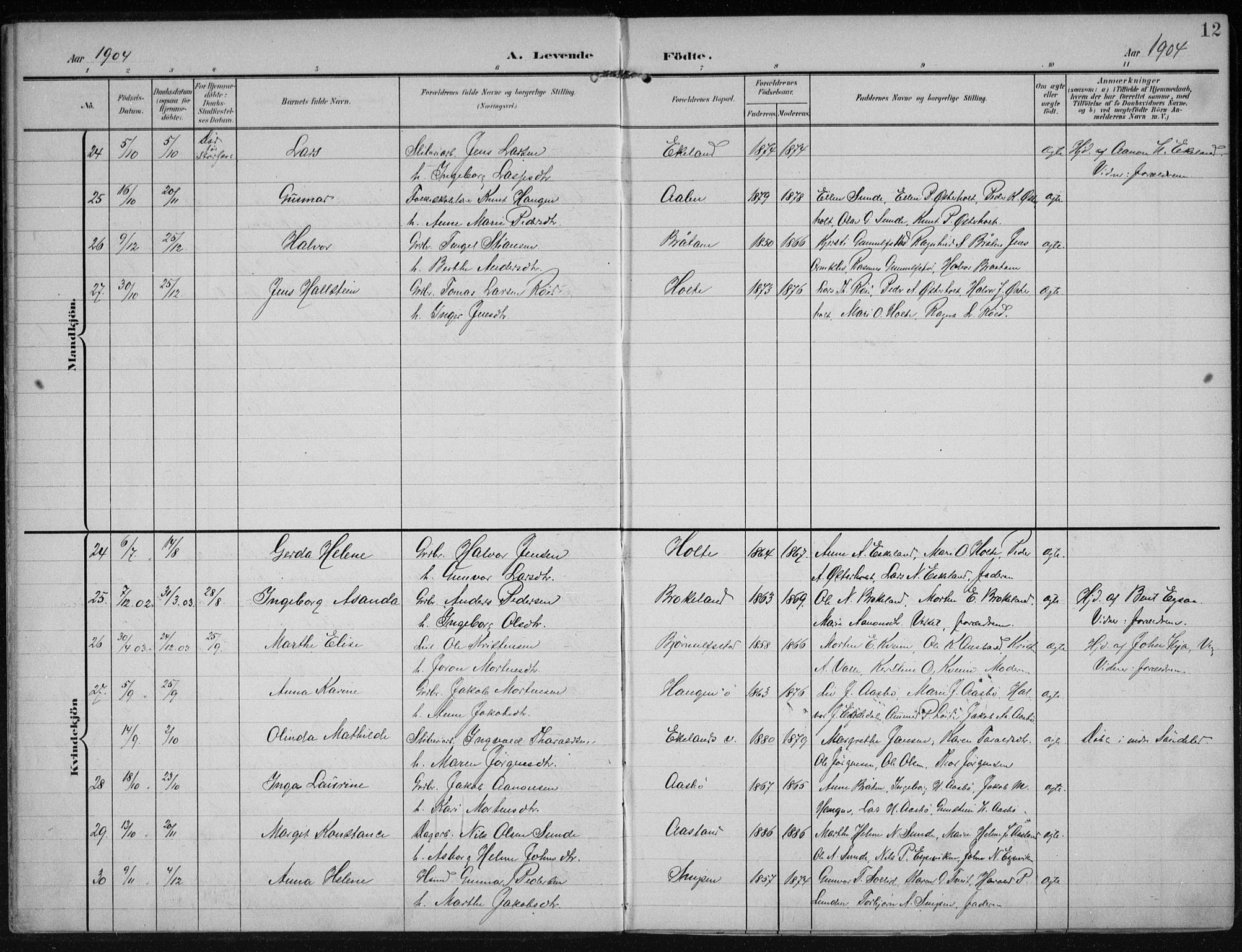 Gjerstad sokneprestkontor, AV/SAK-1111-0014/F/Fa/Faa/L0011: Parish register (official) no. A 11, 1903-1914, p. 12