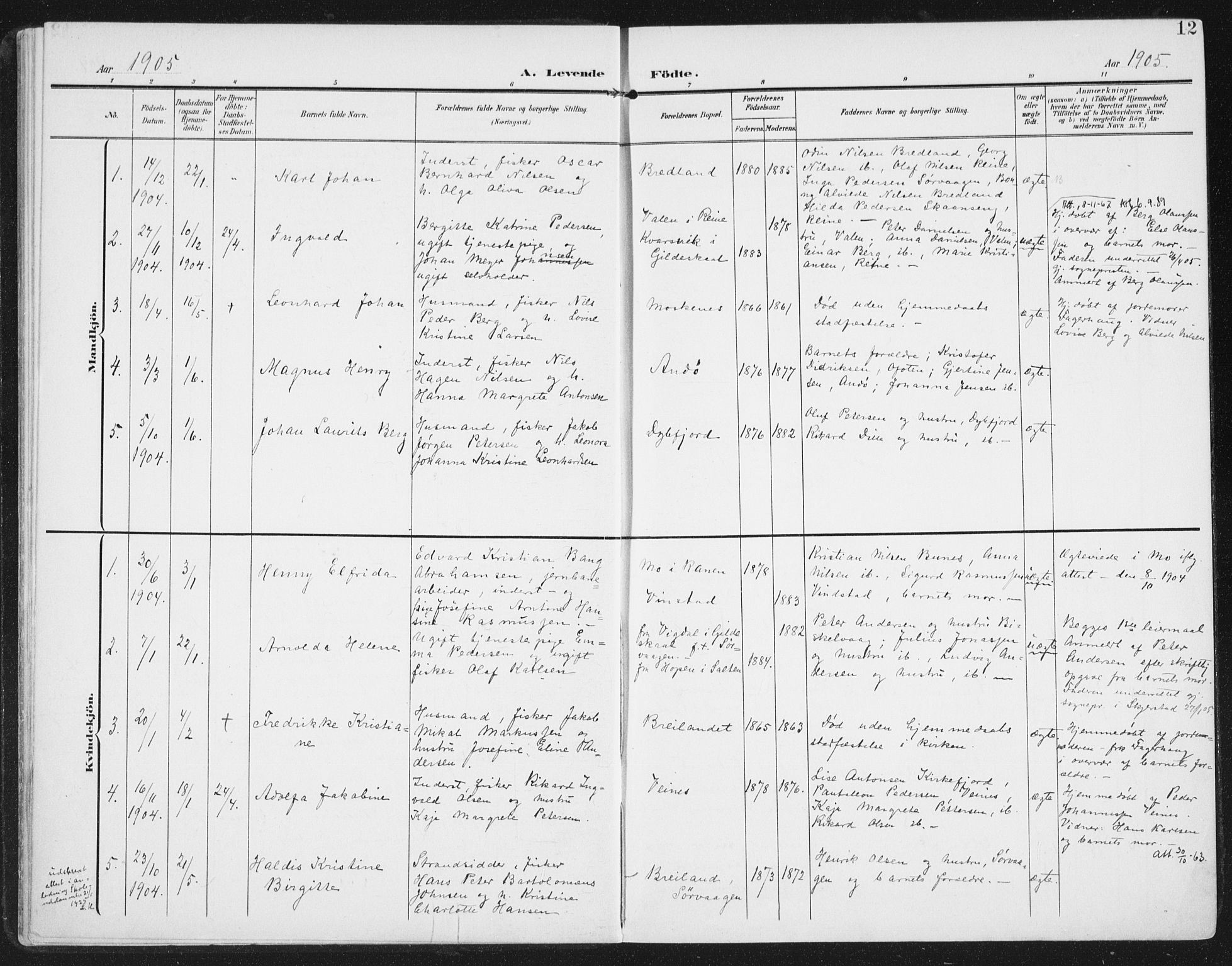 Ministerialprotokoller, klokkerbøker og fødselsregistre - Nordland, SAT/A-1459/886/L1221: Parish register (official) no. 886A03, 1903-1913, p. 12