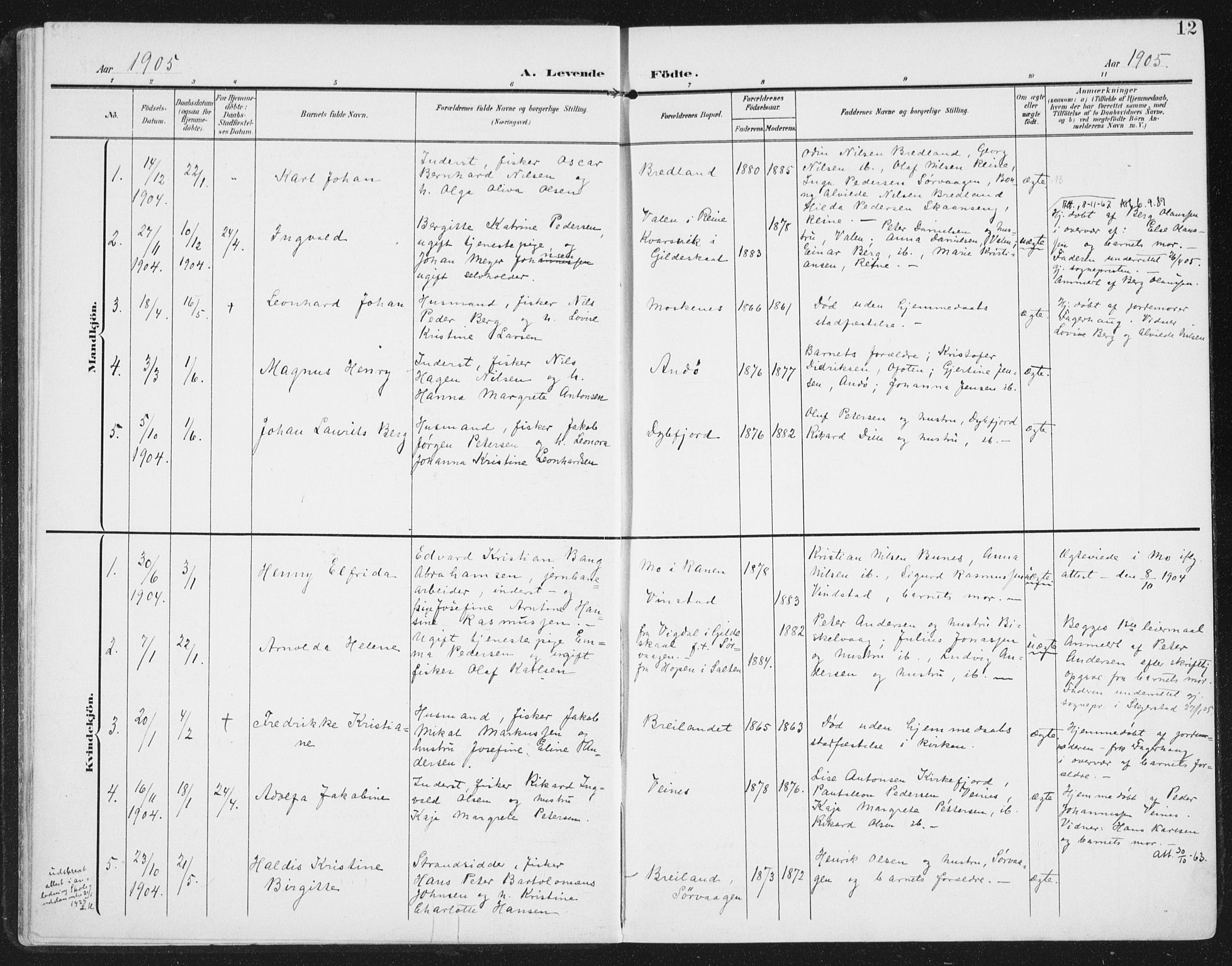 Ministerialprotokoller, klokkerbøker og fødselsregistre - Nordland, AV/SAT-A-1459/886/L1221: Parish register (official) no. 886A03, 1903-1913, p. 12