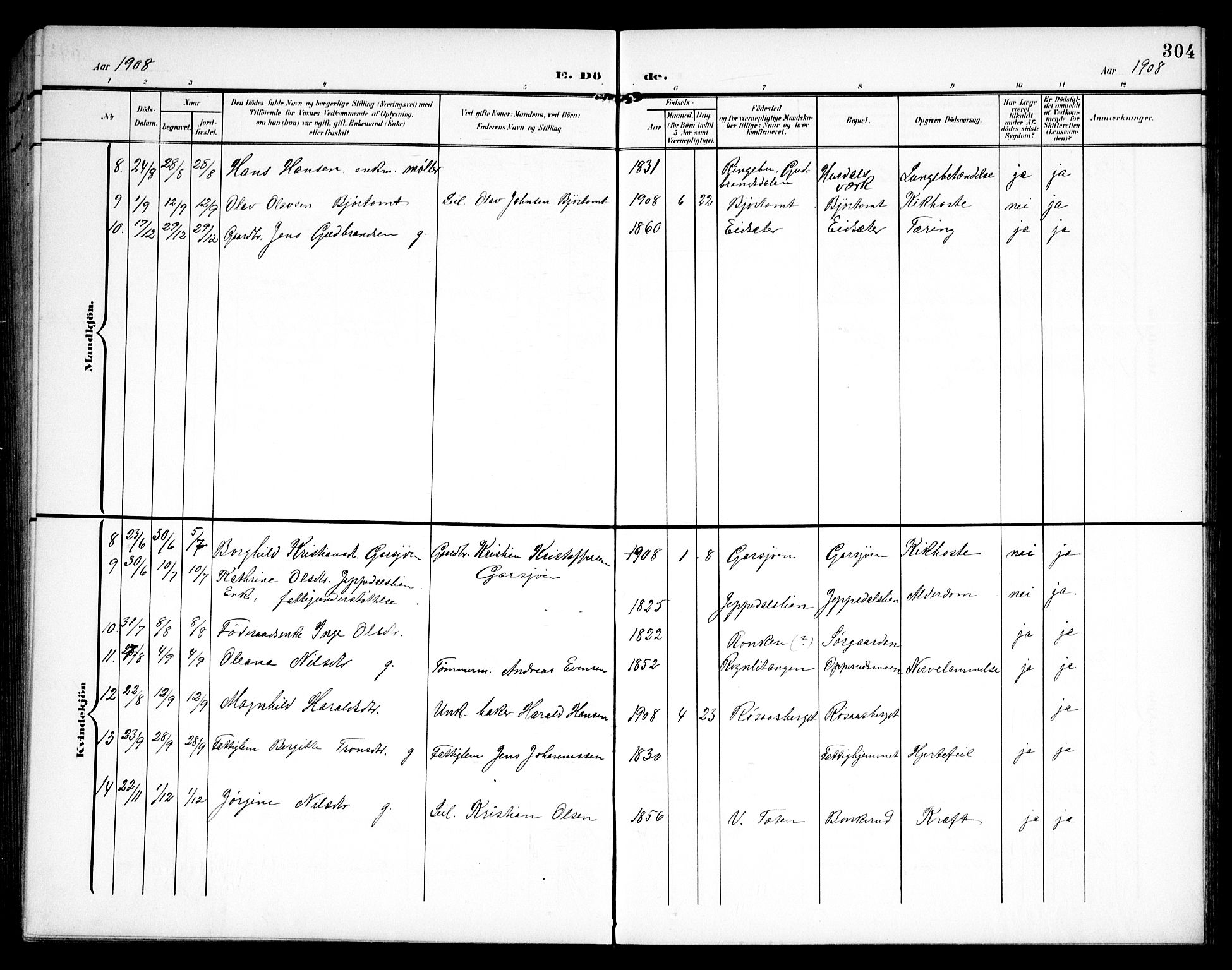 Hurdal prestekontor Kirkebøker, AV/SAO-A-10889/G/Ga/L0001: Parish register (copy) no. I 1, 1902-1934, p. 304