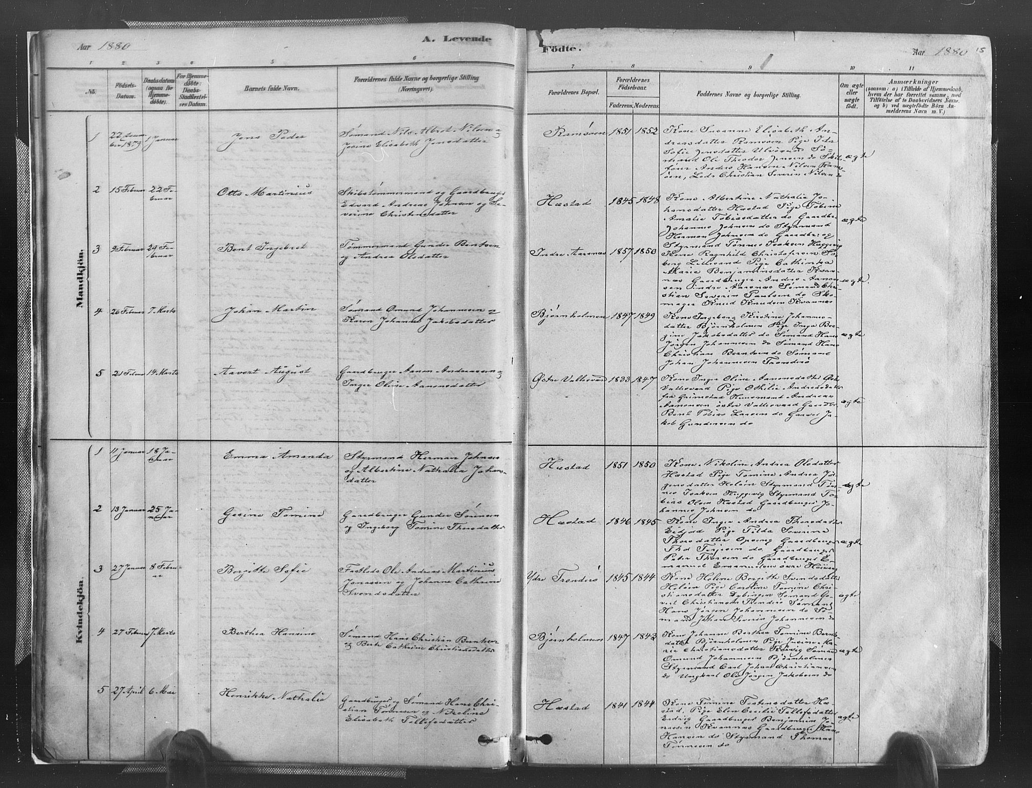 Høvåg sokneprestkontor, SAK/1111-0025/F/Fa/L0005: Parish register (official) no. A 5, 1878-1893, p. 15