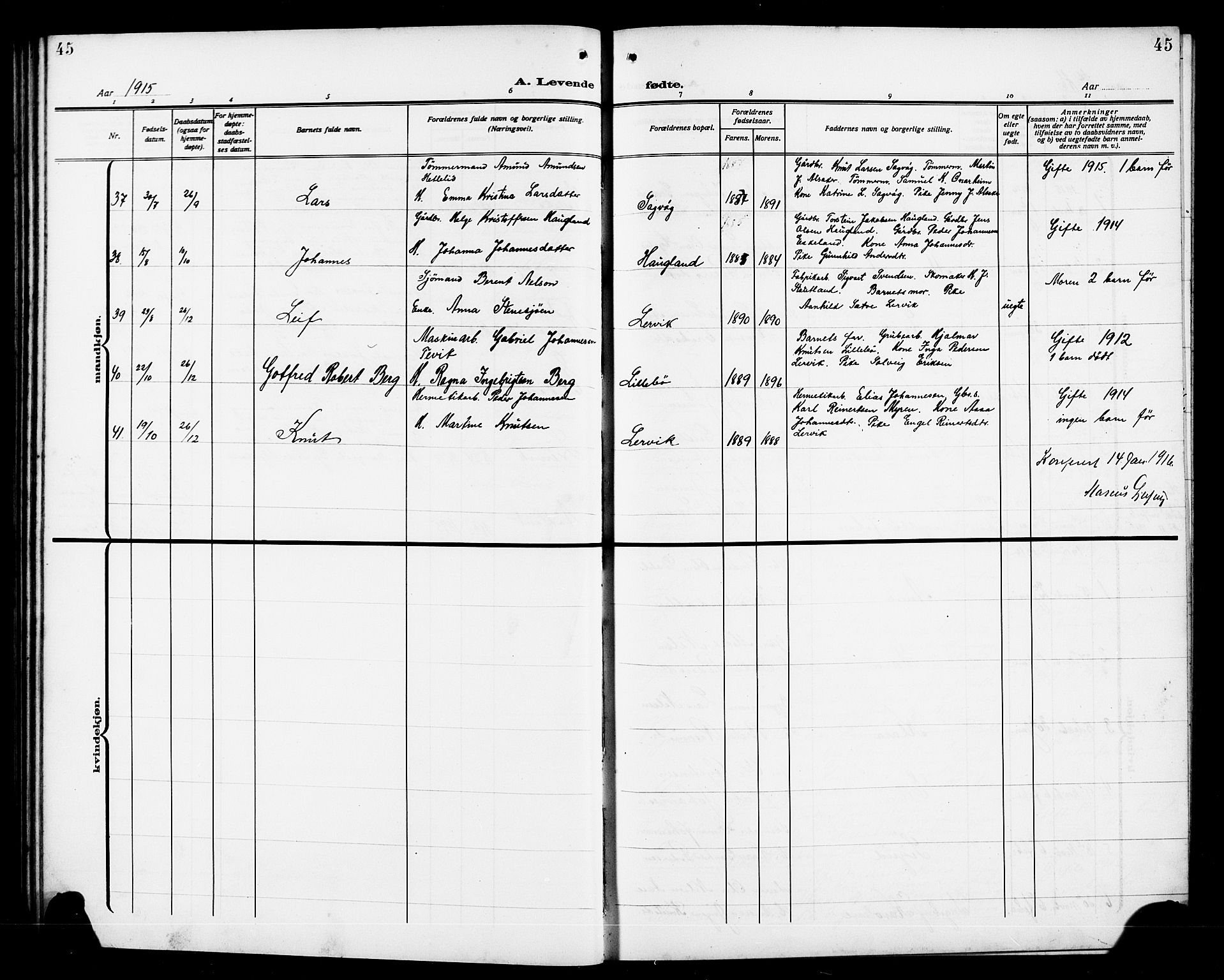 Stord sokneprestembete, AV/SAB-A-78201/H/Hab: Parish register (copy) no. A 3, 1910-1919, p. 45