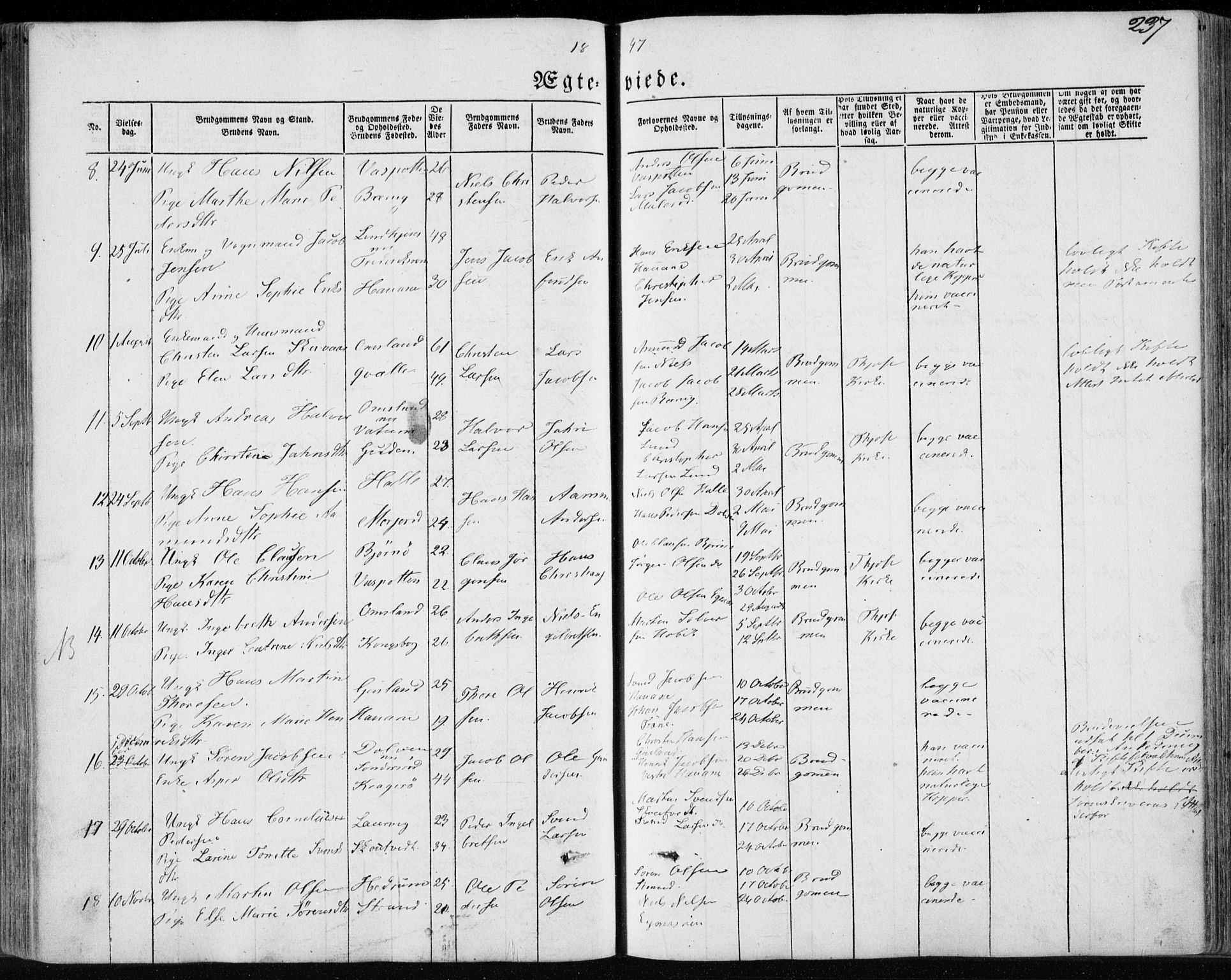 Brunlanes kirkebøker, SAKO/A-342/F/Fa/L0004: Parish register (official) no. I 4, 1846-1862, p. 237