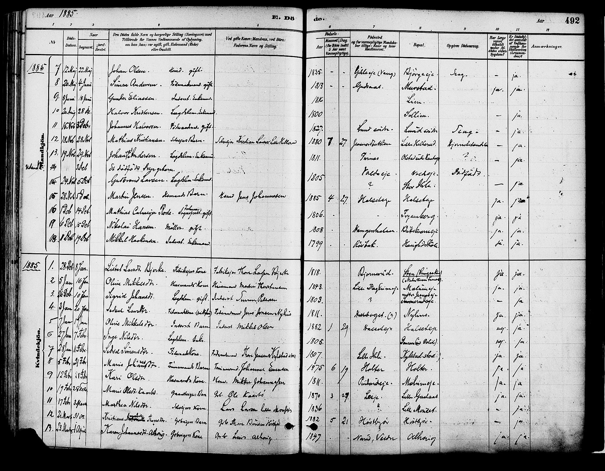 Vang prestekontor, Hedmark, AV/SAH-PREST-008/H/Ha/Haa/L0018B: Parish register (official) no. 18B, 1880-1906, p. 492