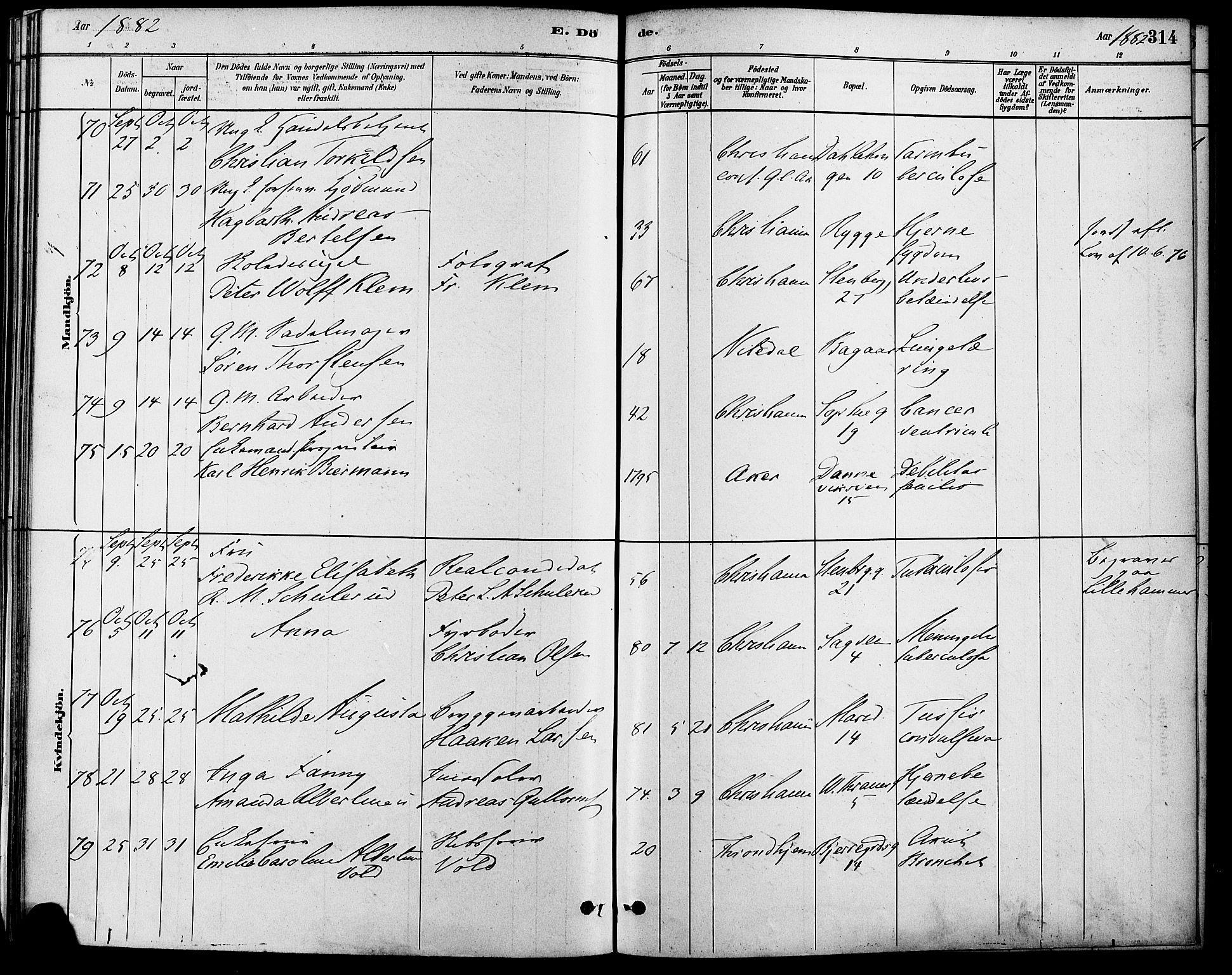 Gamle Aker prestekontor Kirkebøker, AV/SAO-A-10617a/F/L0006: Parish register (official) no. 6, 1880-1887, p. 314