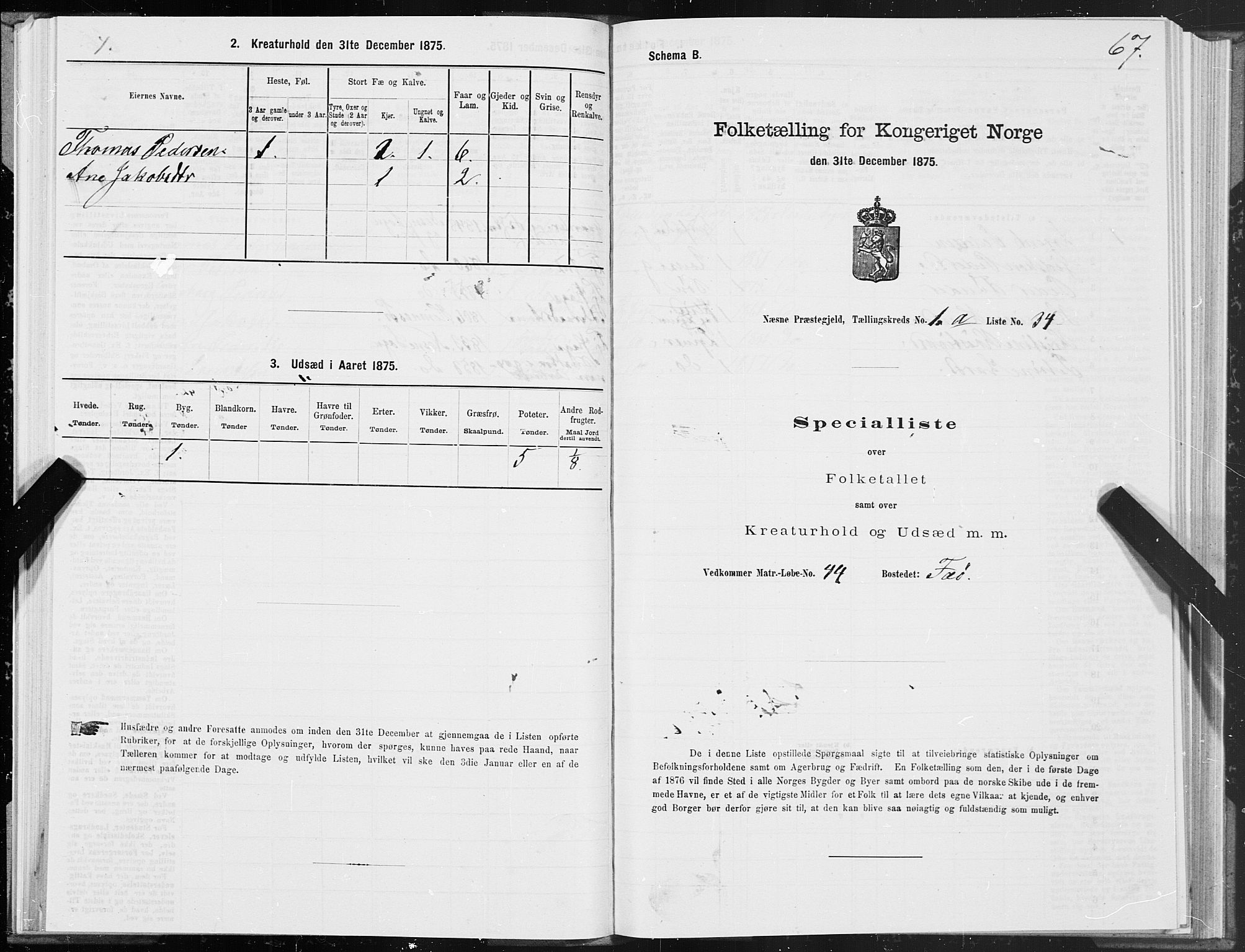 SAT, 1875 census for 1828P Nesna, 1875, p. 1067