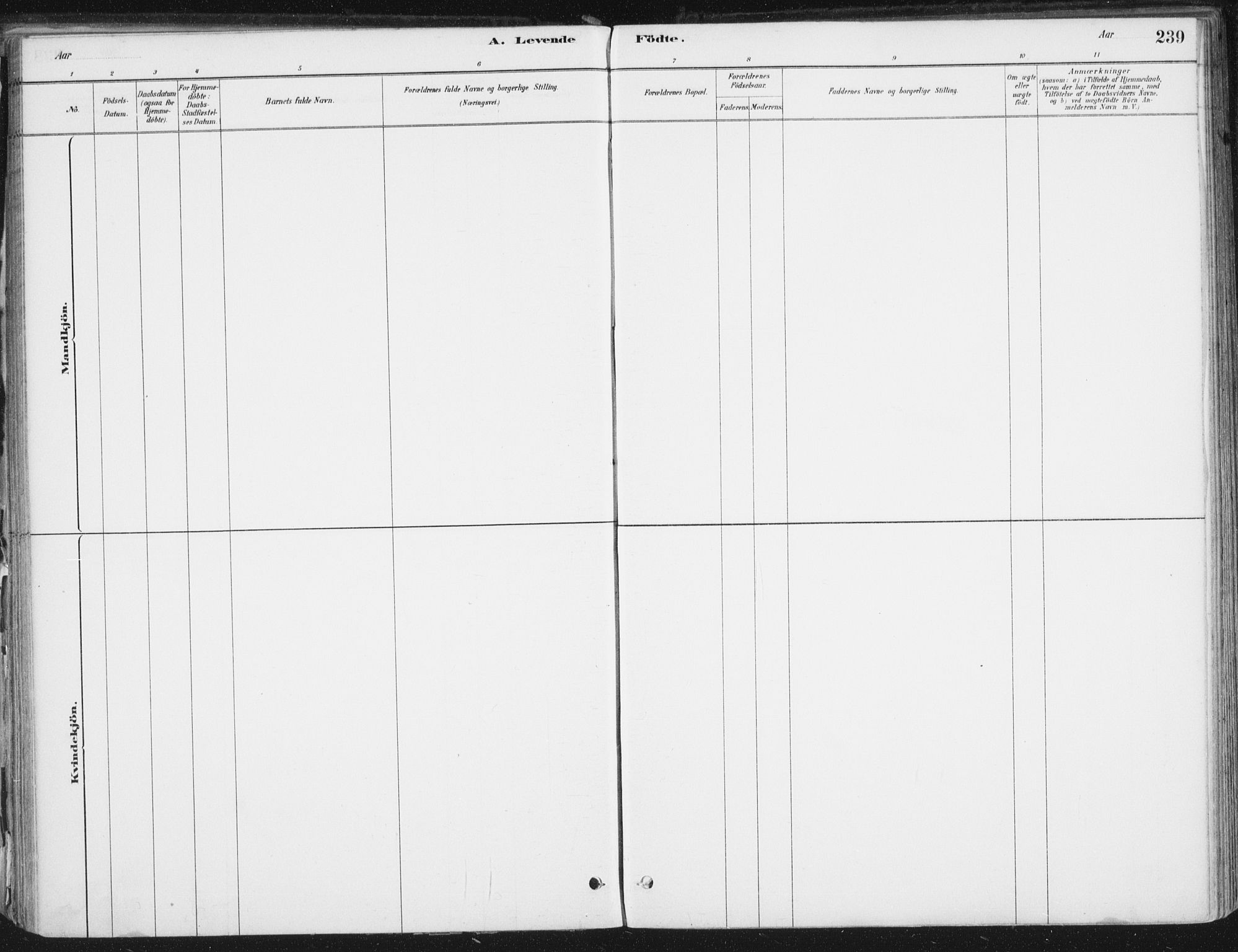 Ministerialprotokoller, klokkerbøker og fødselsregistre - Nordland, AV/SAT-A-1459/838/L0552: Parish register (official) no. 838A10, 1880-1910, p. 239