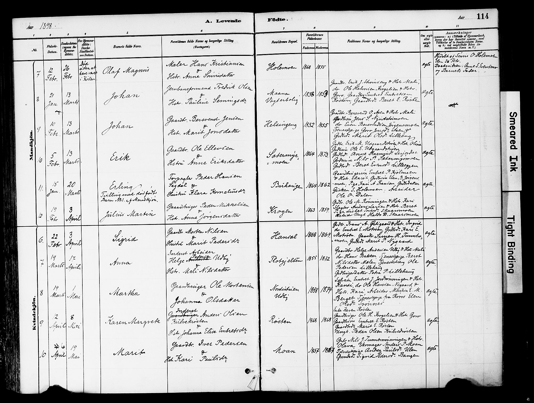 Tynset prestekontor, SAH/PREST-058/H/Ha/Haa/L0022: Parish register (official) no. 22, 1880-1899, p. 114