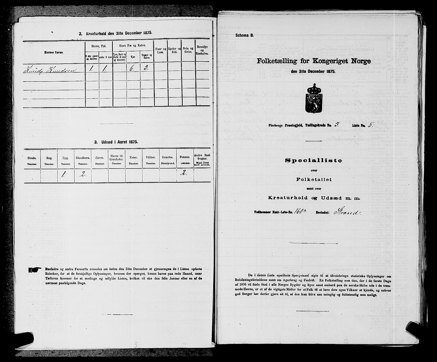 SAKO, 1875 census for 0631P Flesberg, 1875, p. 540