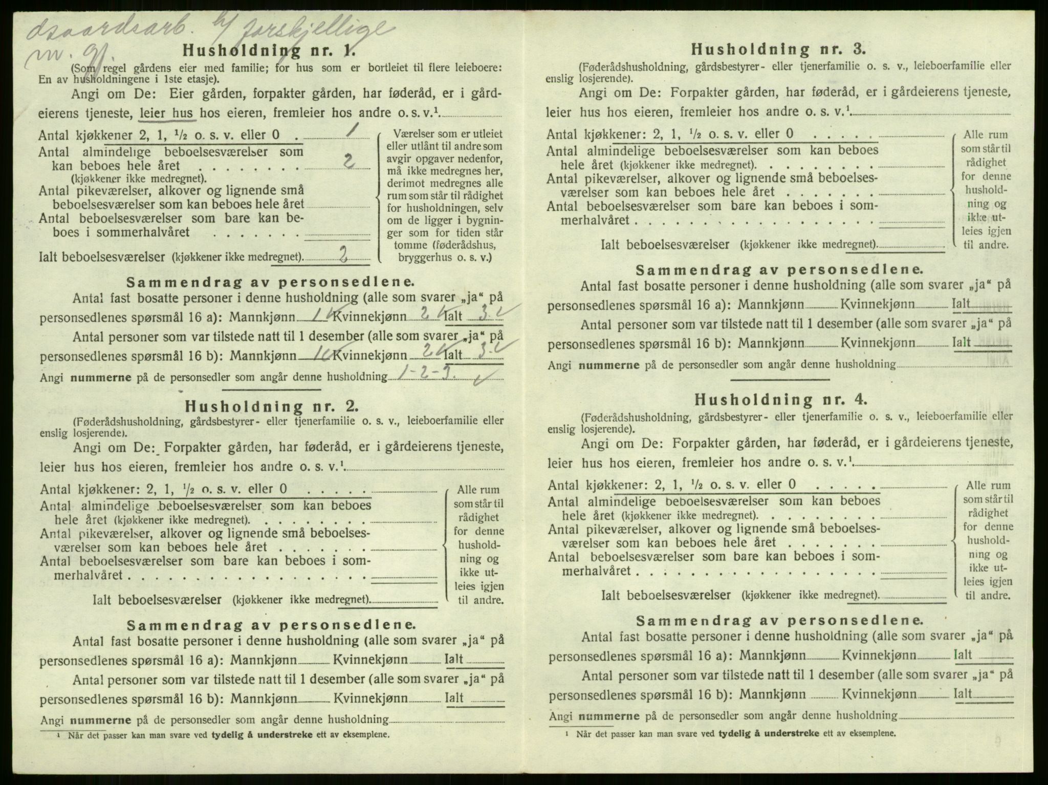 SAKO, 1920 census for Strømm, 1920, p. 423