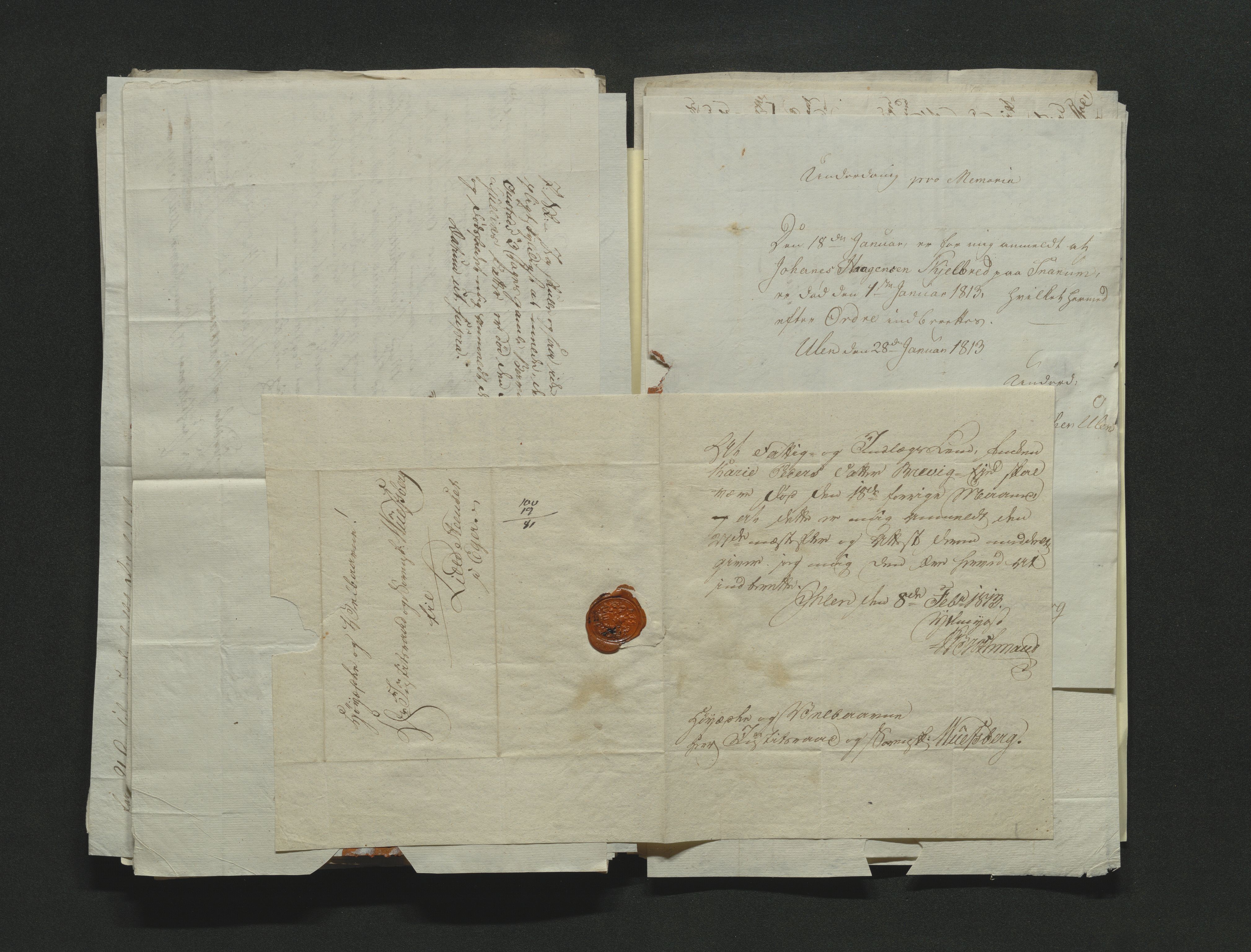 Eiker, Modum og Sigdal sorenskriveri, AV/SAKO-A-123/H/Ha/Hab/L0001: Dødsfallsmeldinger, 1812-1822, p. 102