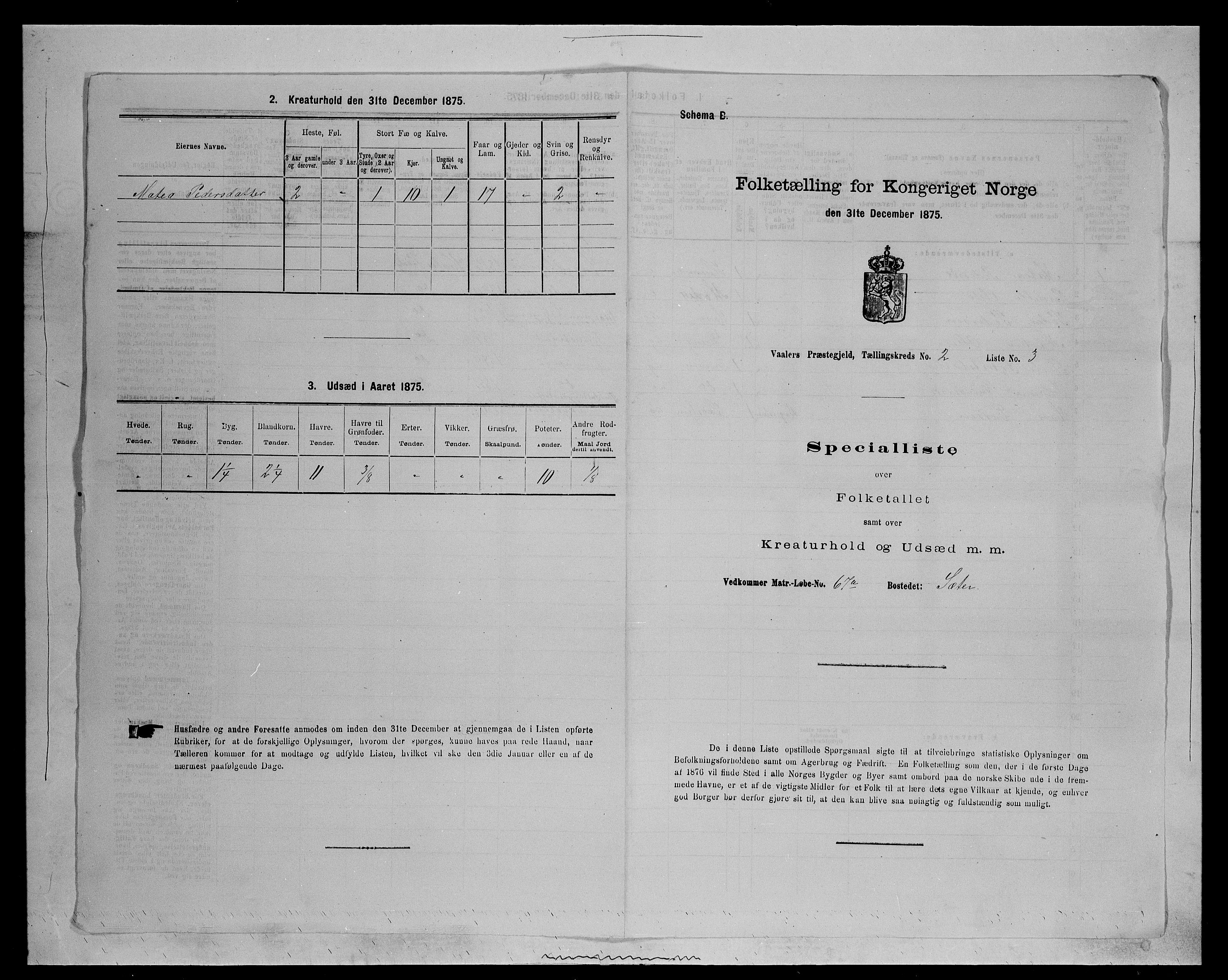 SAH, 1875 census for 0426P Våler parish (Hedmark), 1875, p. 249