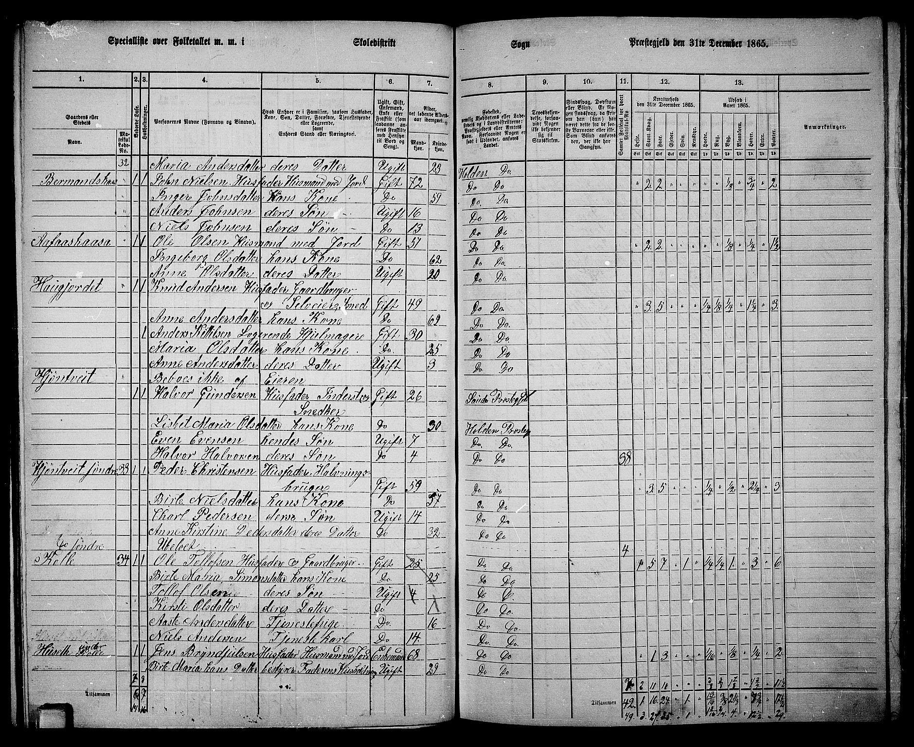 RA, 1865 census for Holla, 1865, p. 92