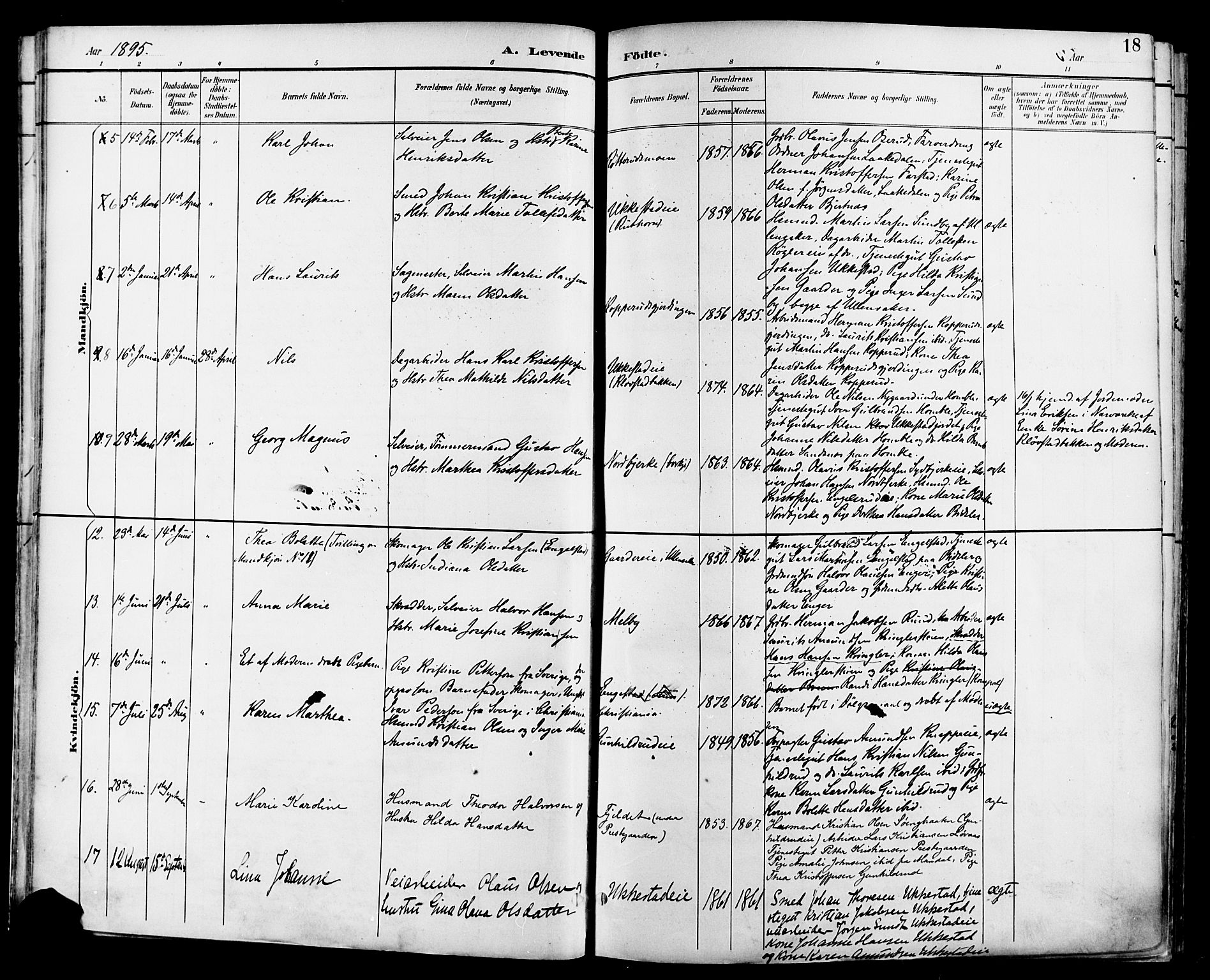 Nannestad prestekontor Kirkebøker, SAO/A-10414a/F/Fa/L0015: Parish register (official) no. I 15, 1891-1905, p. 18