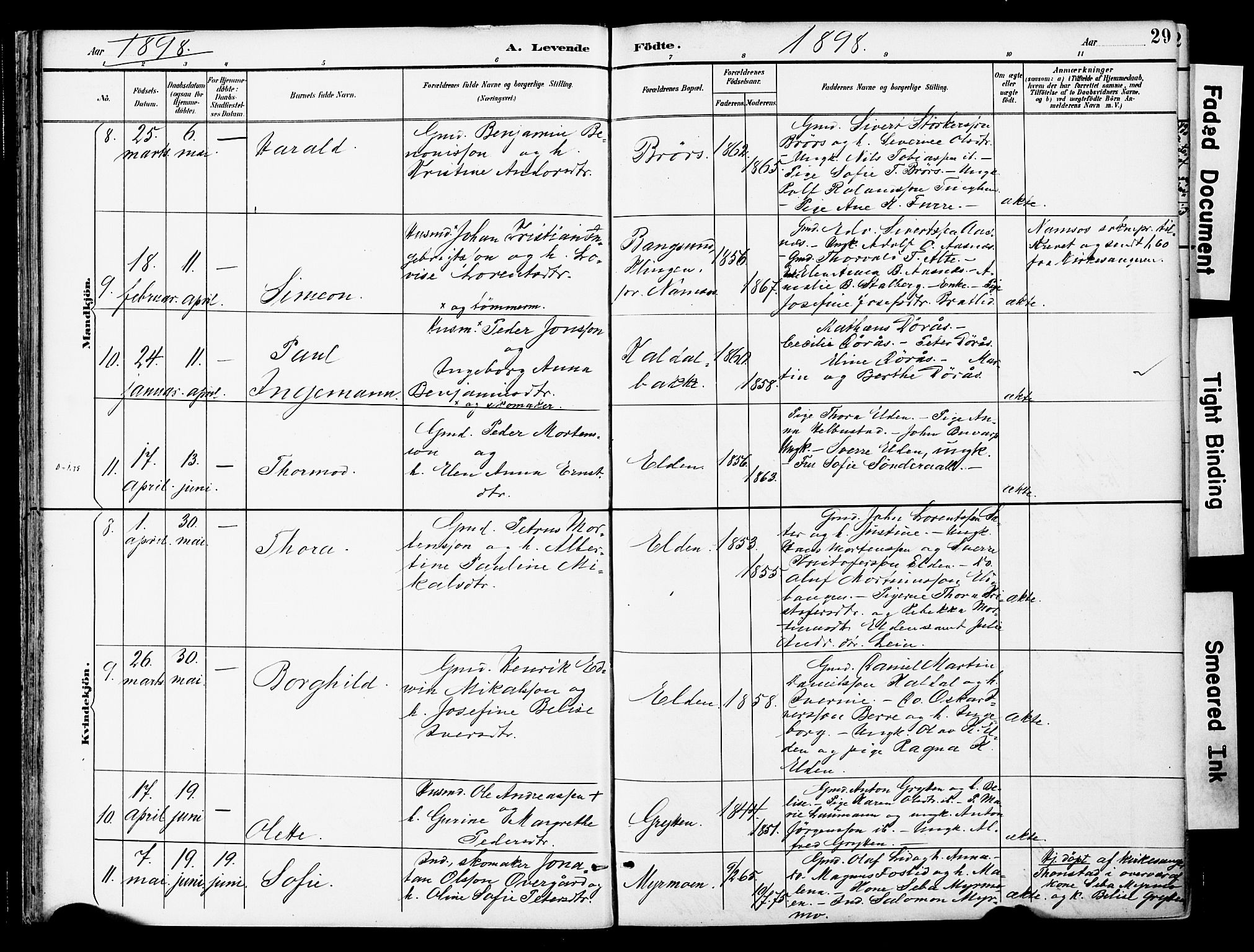 Ministerialprotokoller, klokkerbøker og fødselsregistre - Nord-Trøndelag, AV/SAT-A-1458/742/L0409: Parish register (official) no. 742A02, 1891-1905, p. 29