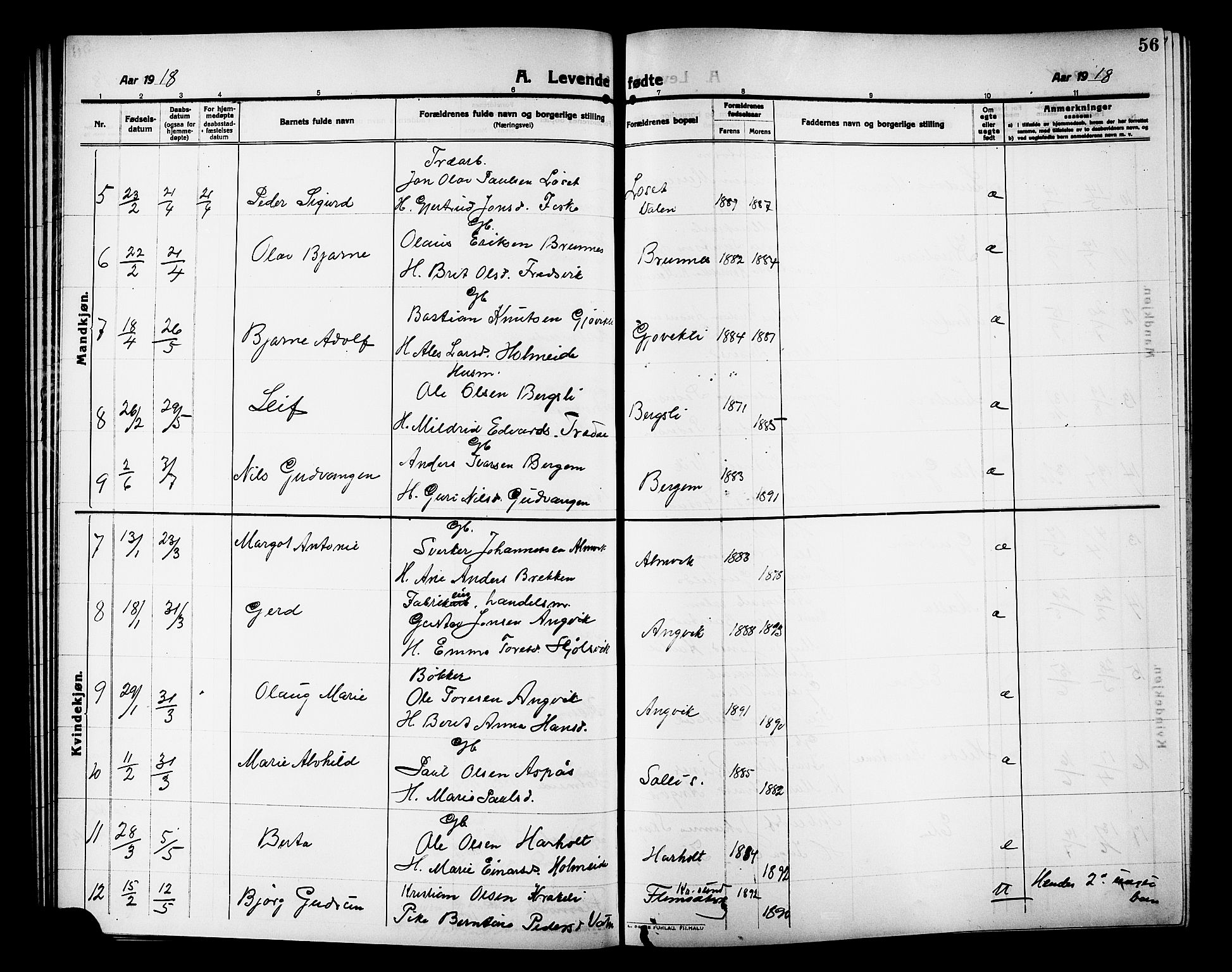 Ministerialprotokoller, klokkerbøker og fødselsregistre - Møre og Romsdal, AV/SAT-A-1454/586/L0993: Parish register (copy) no. 586C04, 1910-1918, p. 56