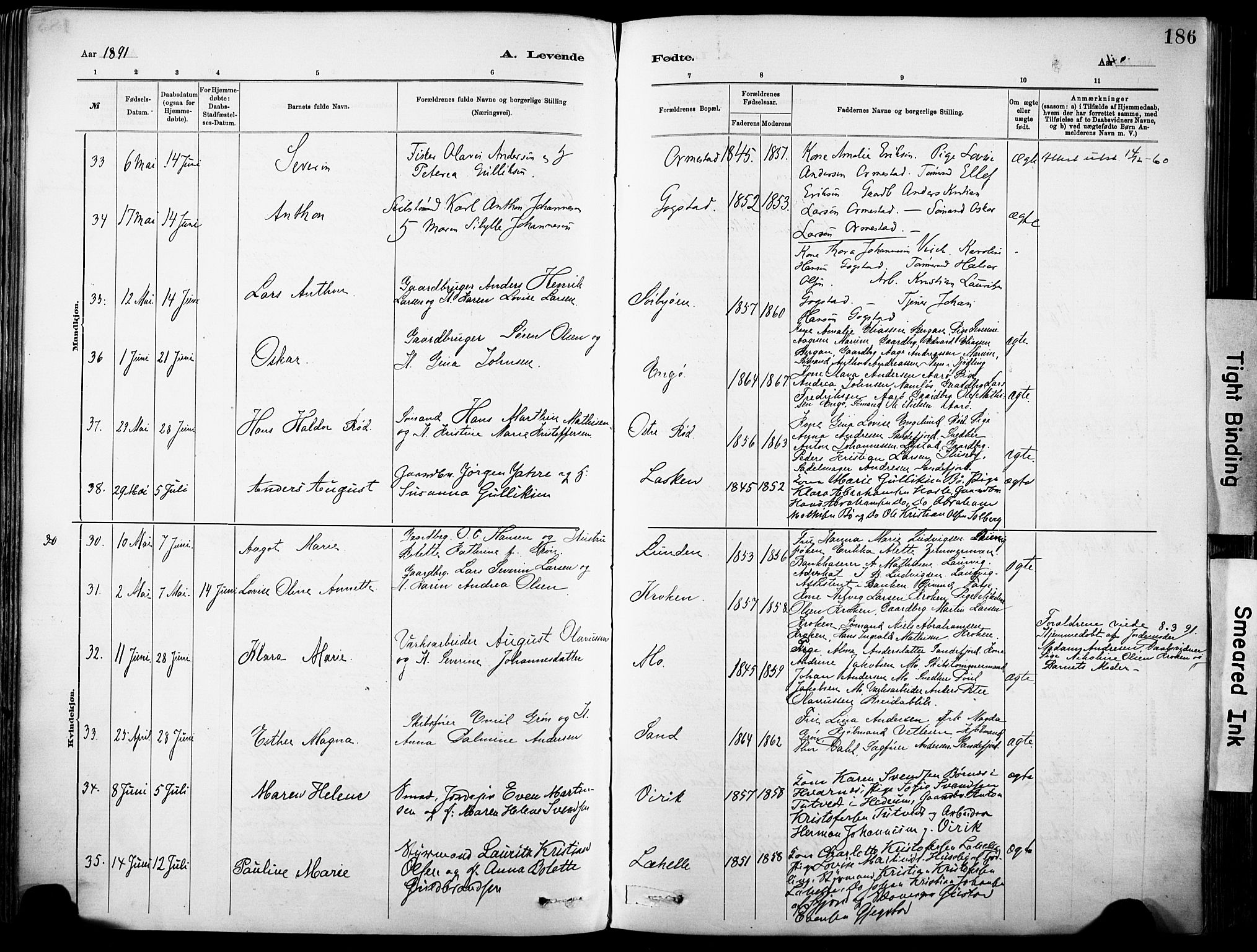 Sandar kirkebøker, AV/SAKO-A-243/F/Fa/L0012: Parish register (official) no. 12, 1883-1895, p. 186