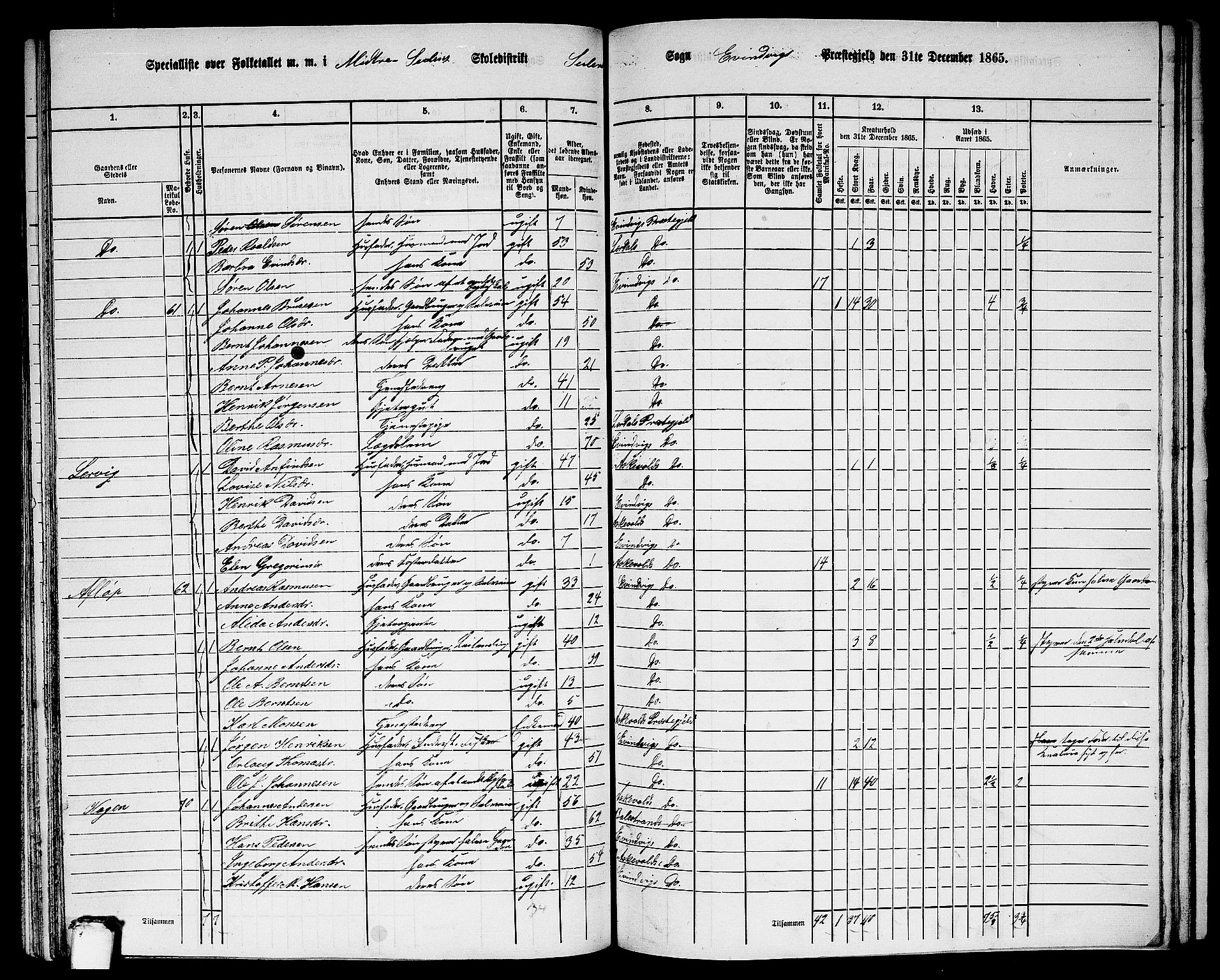 RA, 1865 census for Eivindvik, 1865, p. 172