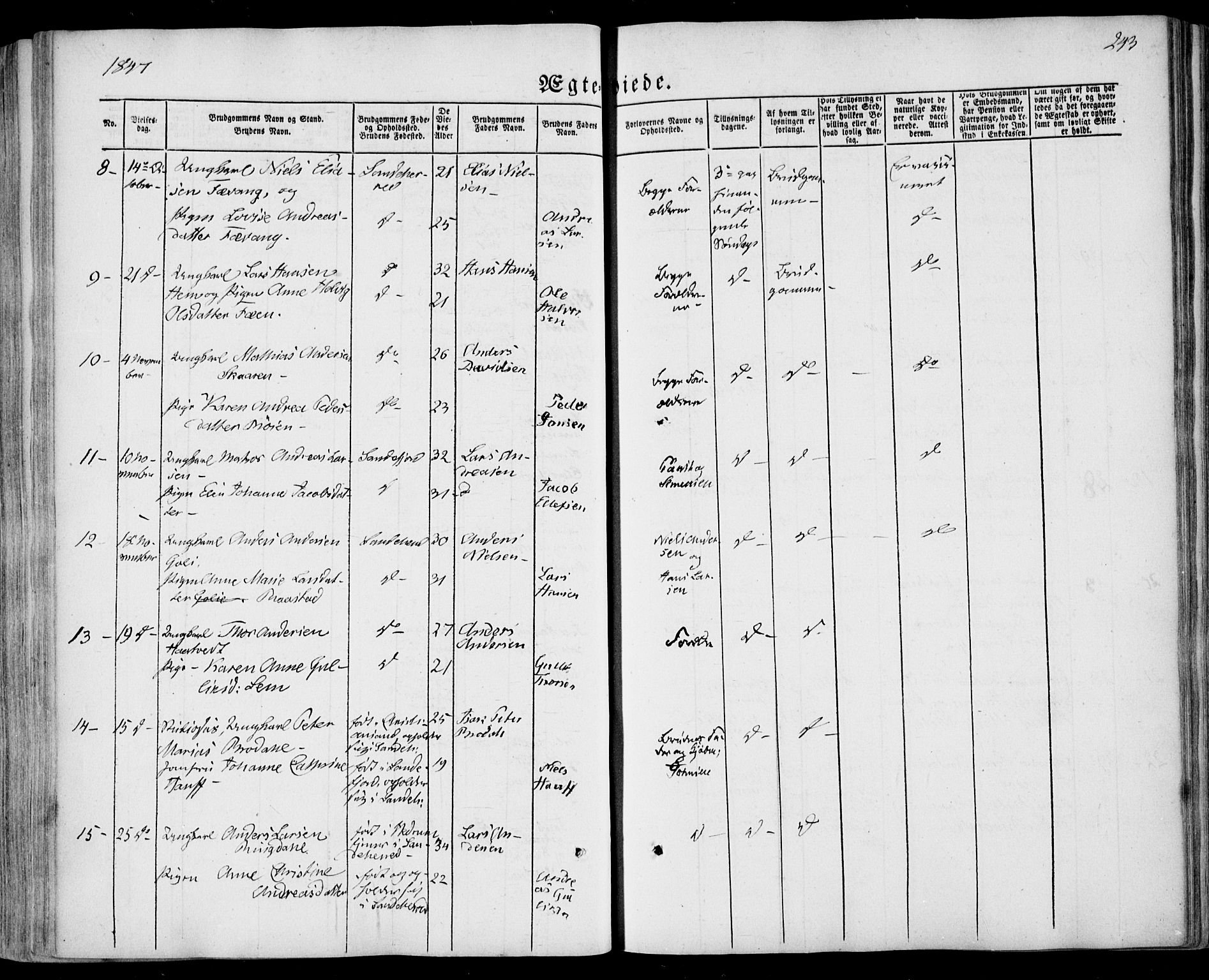 Sandar kirkebøker, AV/SAKO-A-243/F/Fa/L0006: Parish register (official) no. 6, 1847-1860, p. 243