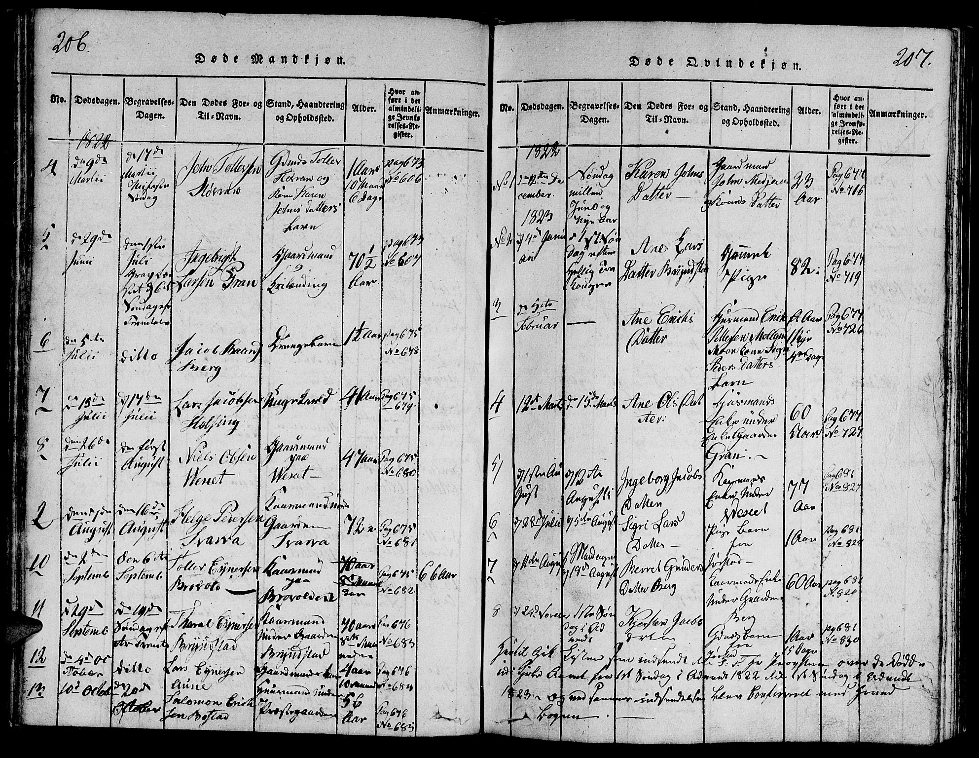 Ministerialprotokoller, klokkerbøker og fødselsregistre - Nord-Trøndelag, SAT/A-1458/749/L0479: Parish register (copy) no. 749C01, 1817-1829, p. 206-207