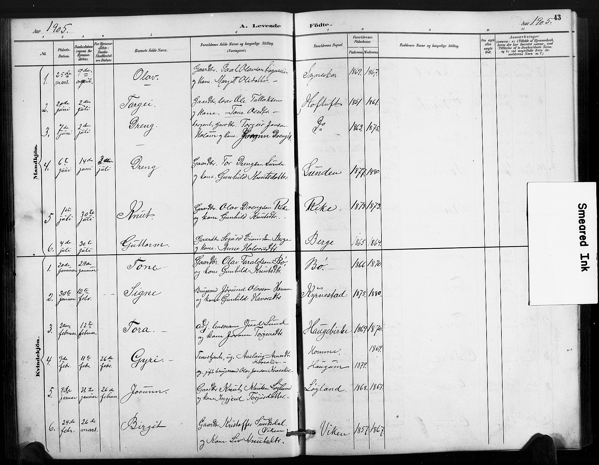 Valle sokneprestkontor, SAK/1111-0044/F/Fb/Fbc/L0004: Parish register (copy) no. B 4, 1890-1928, p. 43
