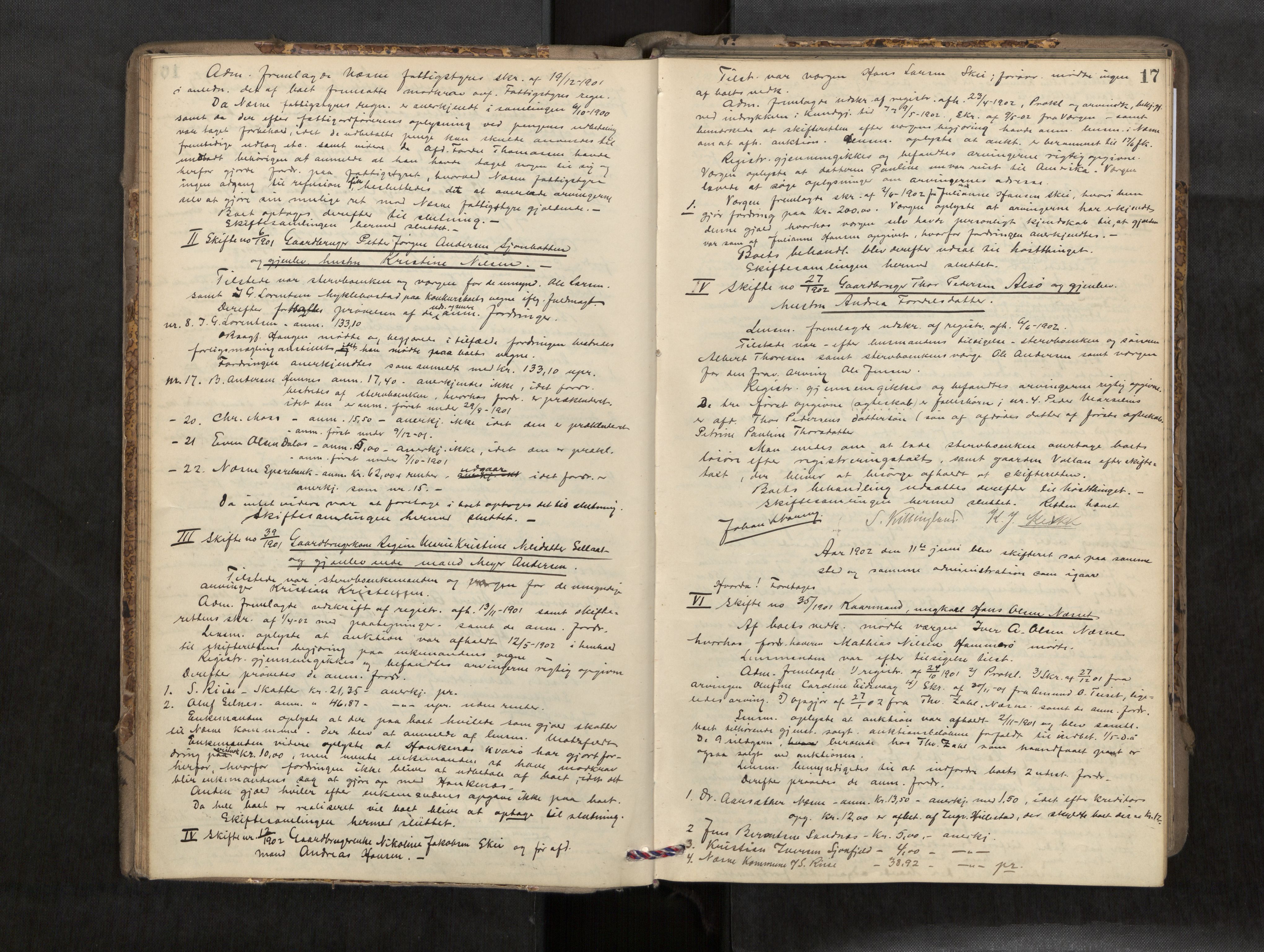 Rana sorenskriveri , AV/SAT-A-1108/1/3/3B/L0007: Skiftebehandlingsprotokoll, 1901-1909, p. 17