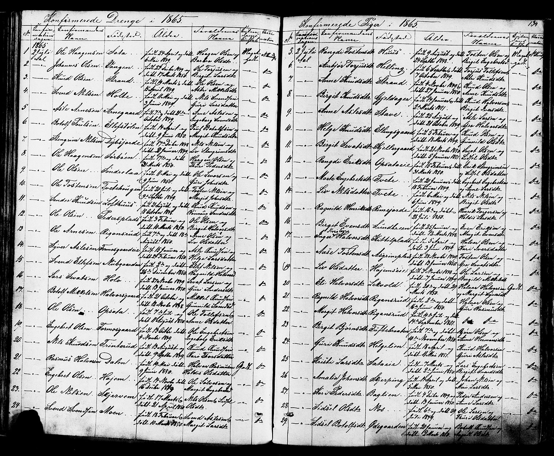 Ål kirkebøker, AV/SAKO-A-249/F/Fa/L0007: Parish register (official) no. I 7, 1865-1881, p. 134